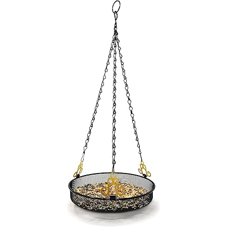 Amazon Com Birds Choice Whole Peanut Blue Jay Feeder With Green Roof Bird Houses Patio Lawn Garden