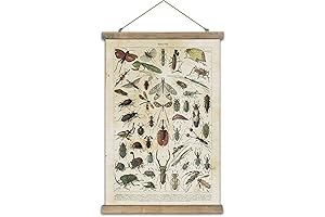 SHOXREM Insect Art Print