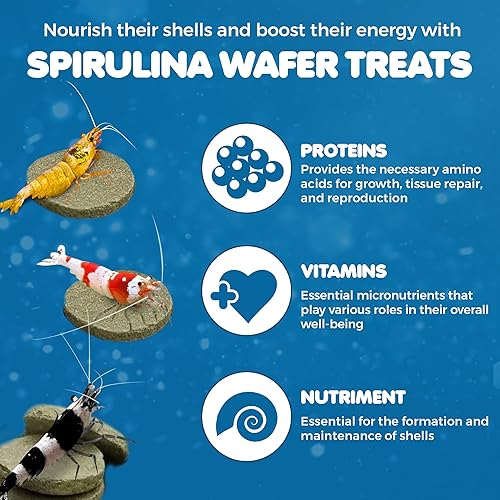 Miniatura 3 de SunGrow Alimento proteico de espirulina, obleas para camarones, cangrejo ermitaño, pleco, cory, bagre, cangrejo de río, caracoles, comedero