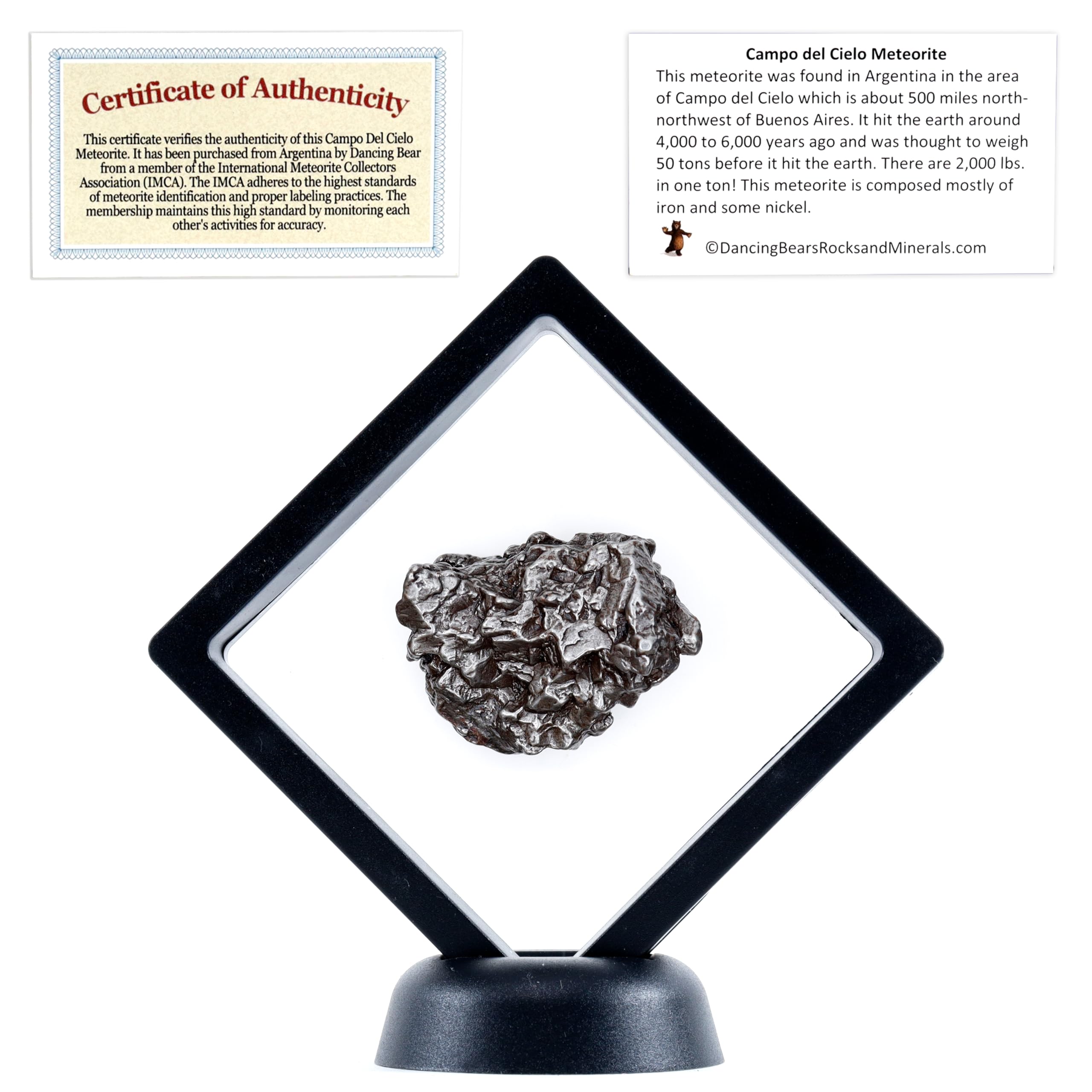 DANCING BEAR Real Meteorite Extra Large (60-70g) Genuine from Campo Del Cielo Argentina, Certificate of Authenticity, Display Stand, ID Card, Space Rock, Assembled in The USA