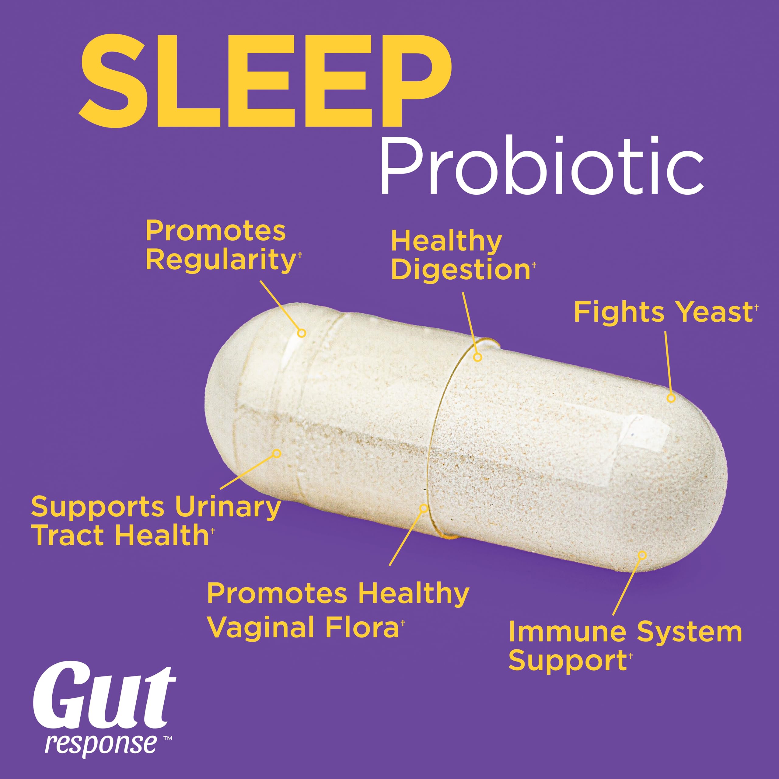 Sleep Probiotic for Men & Women, Slows Down Digestive Aging, Supports Sleep and Recovery, Promotes Healthy Gut, Vegan, Gluten Free & Soy Free, 3 Billion CFU, 30 Caplets — Amazon image 3