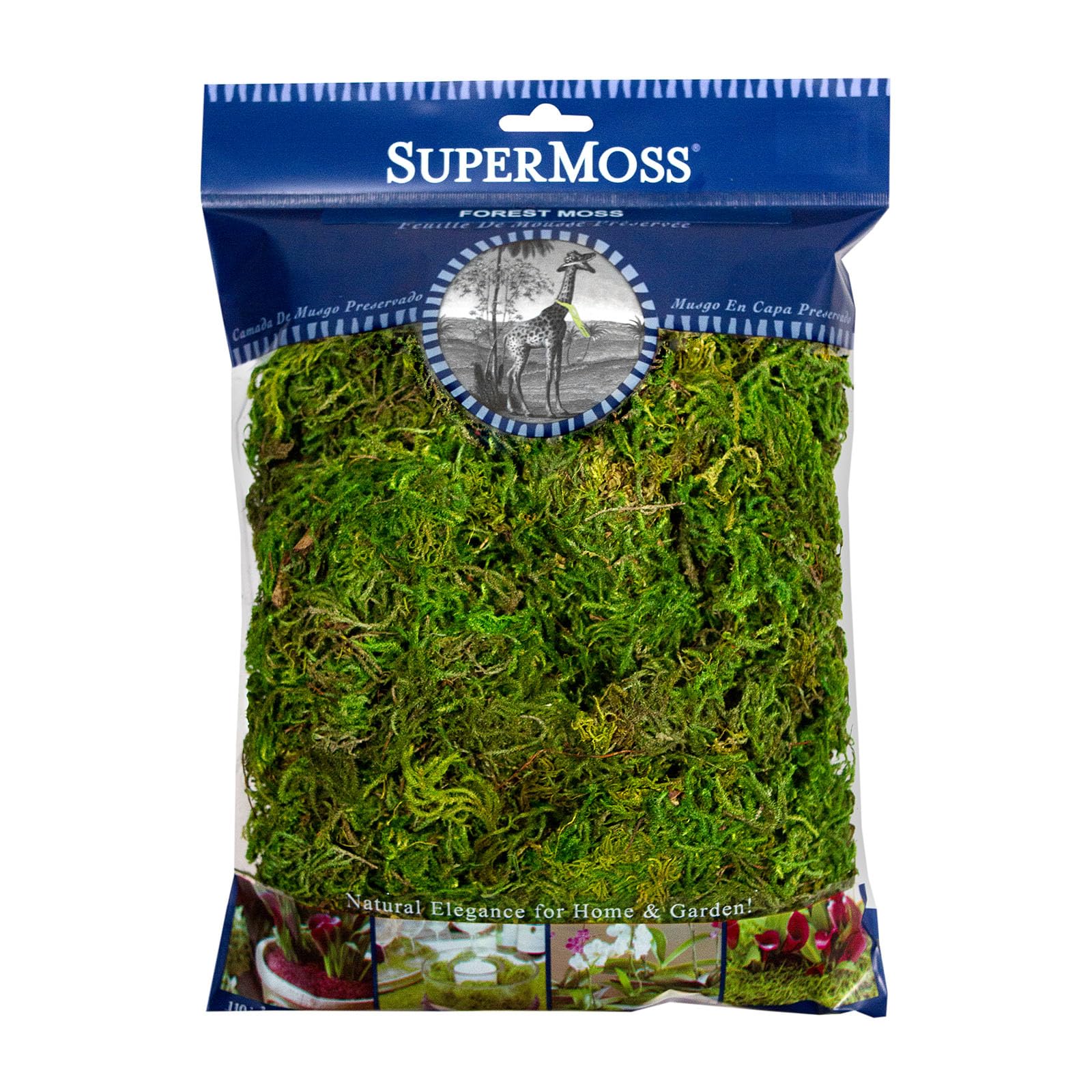 SuperMoss Forest Moss Preserved Lasting Decorative Long Fibers for Potted Plants and Crafts, Fresh Green