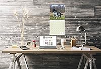 Vista 990 de Razas de Perros 2017