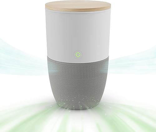 Dupray Bloom Purificador de aire para habitaciones grandes con maceta o diseño de mesa decorativa personalizada  Para el hogar, dormitorio, oficina,