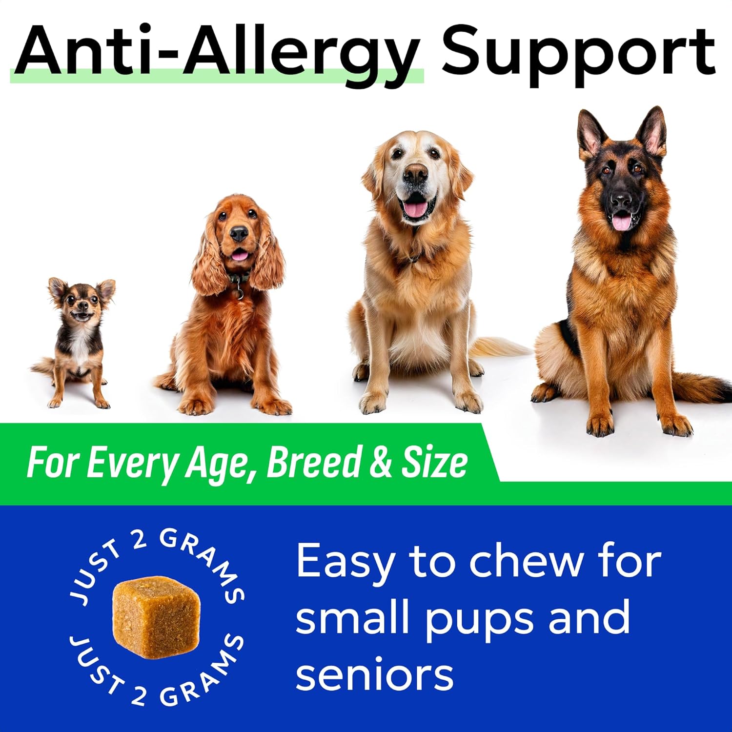 BARK&SPARK Dog Allergy Relief Chews - Anti-Itch Skin & Coat Supplement - Omega 3 Fish Oil - Itchy Skin Relief Treatment Pills - Itching&Paw Licking - Dry Skin&Hot Spots - (60 Immune Treats - Chicken) - Image 7