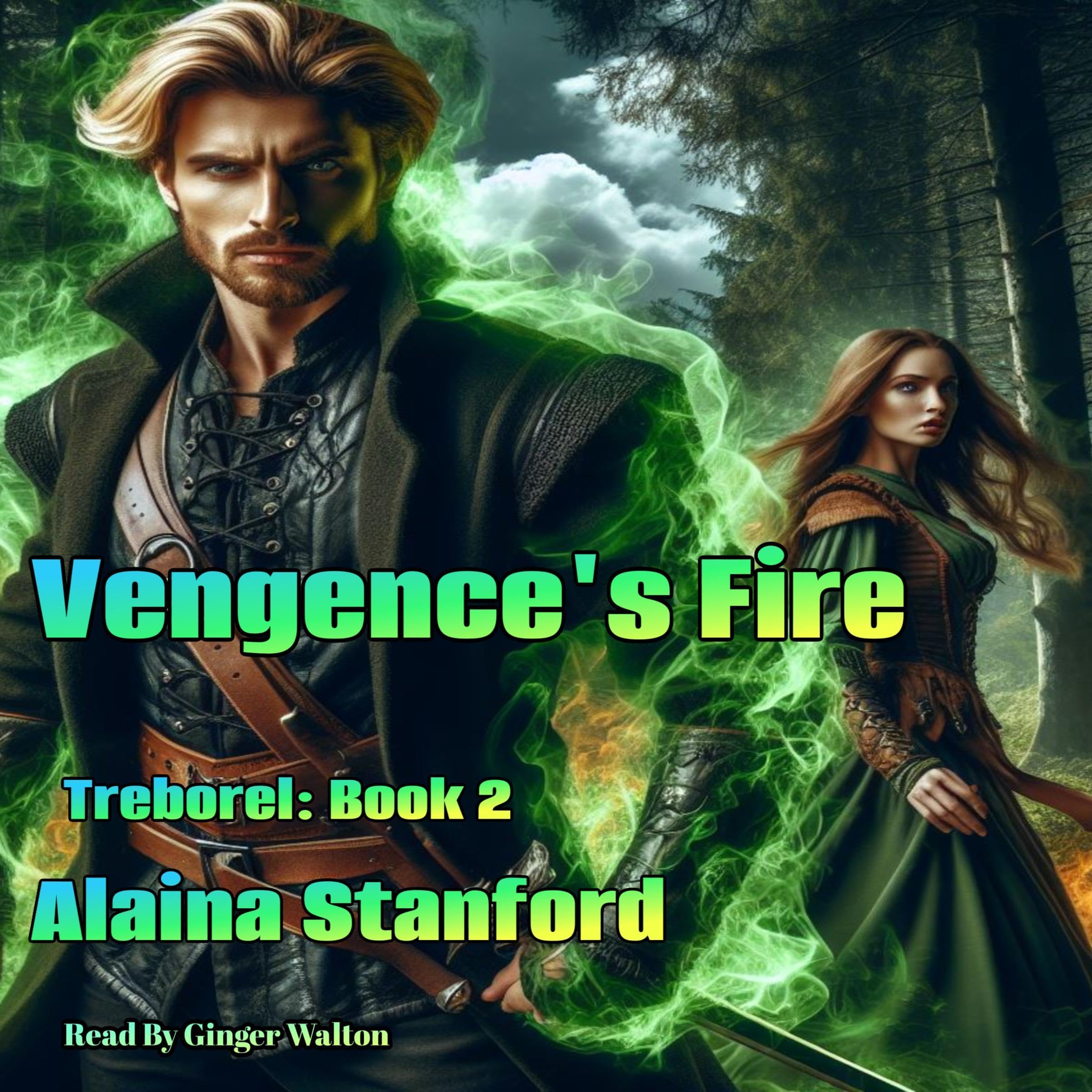 Cover art for Vengeance's Fire