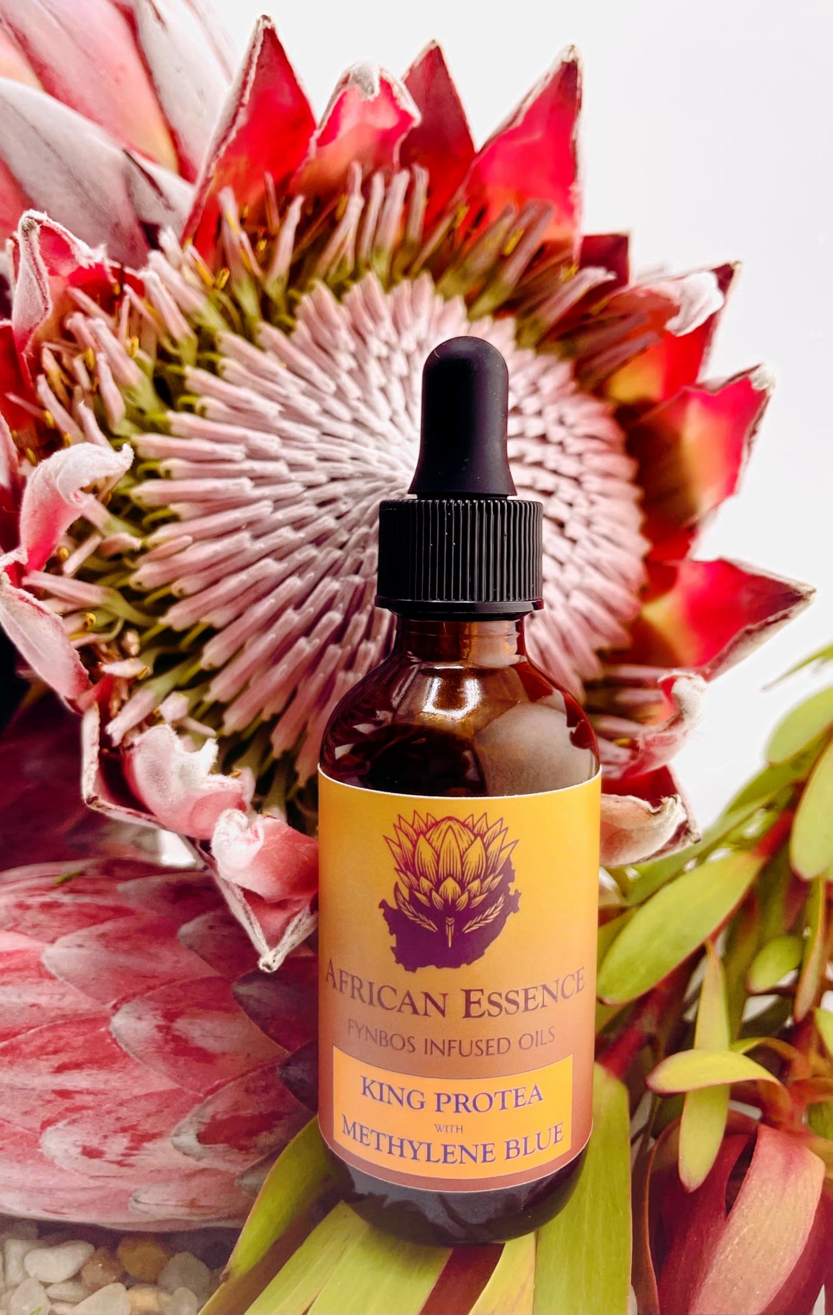 Methylene Blue Skin Serum, Glass Skin African Protea Skin Serum for Age-Tempering, Hydration, Moisturizing, Free-Radical Gathering