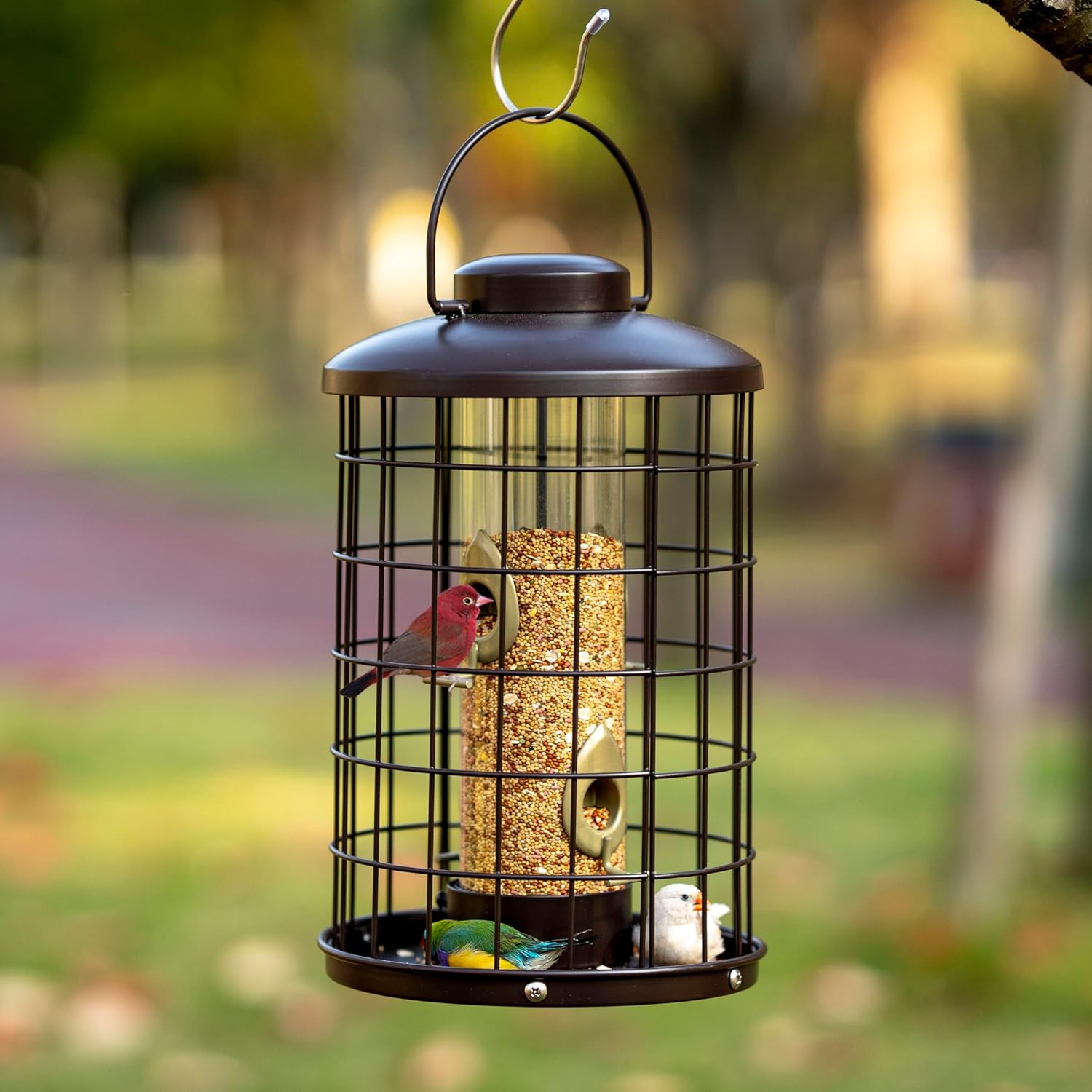 Caged Bird Feeders Metal - 3 Lbs - Squirrel-Proof Wild Bird Feeders, Clear Tube Feeders Hanging Outside Starling Proof, Detachable Cleaning, 4 Feed Ports(Copper) - Image 2