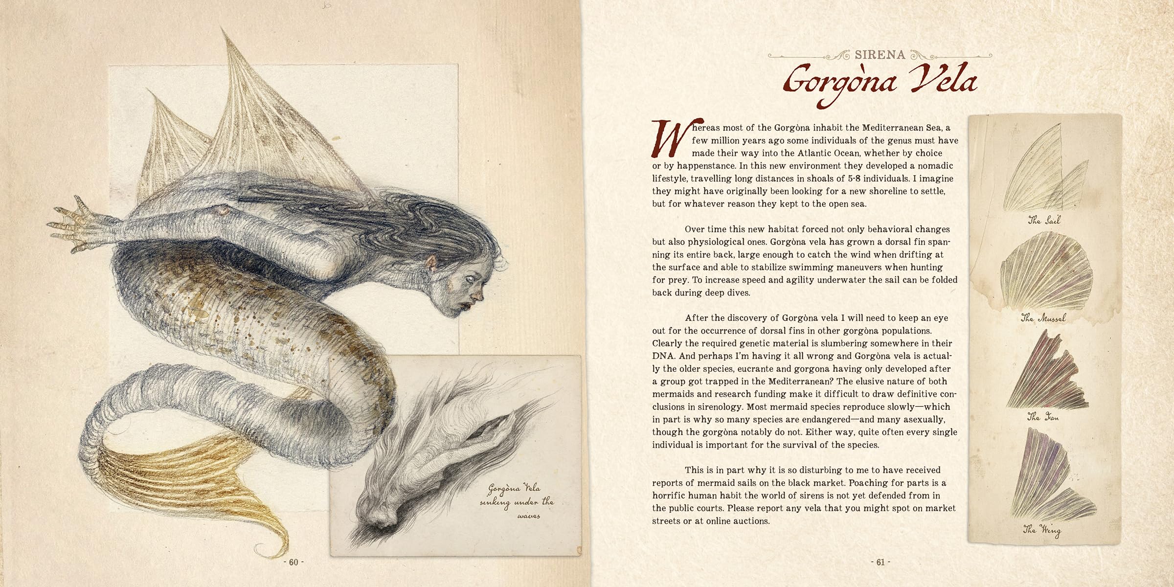 Dr. C. Lillefisk's Sirenology: A Guide to Mermaids and Other Under-The-Sea Phenonemon