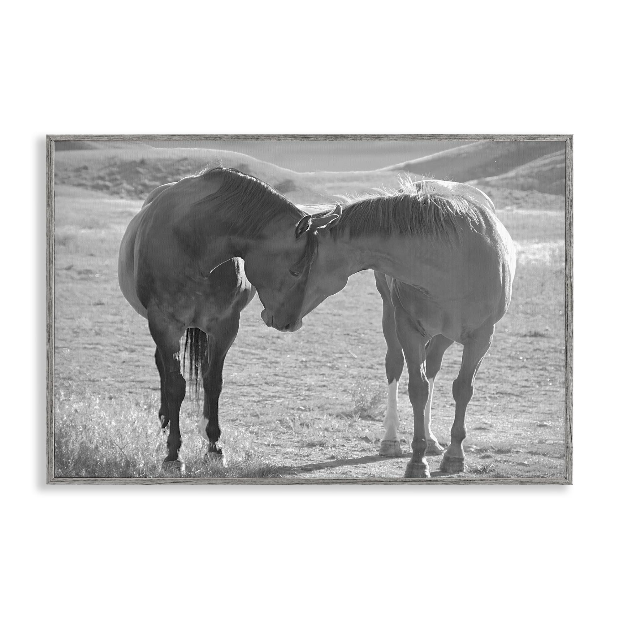 'Sweet Nothings Bond Between Horses'| Framed Giclee Art