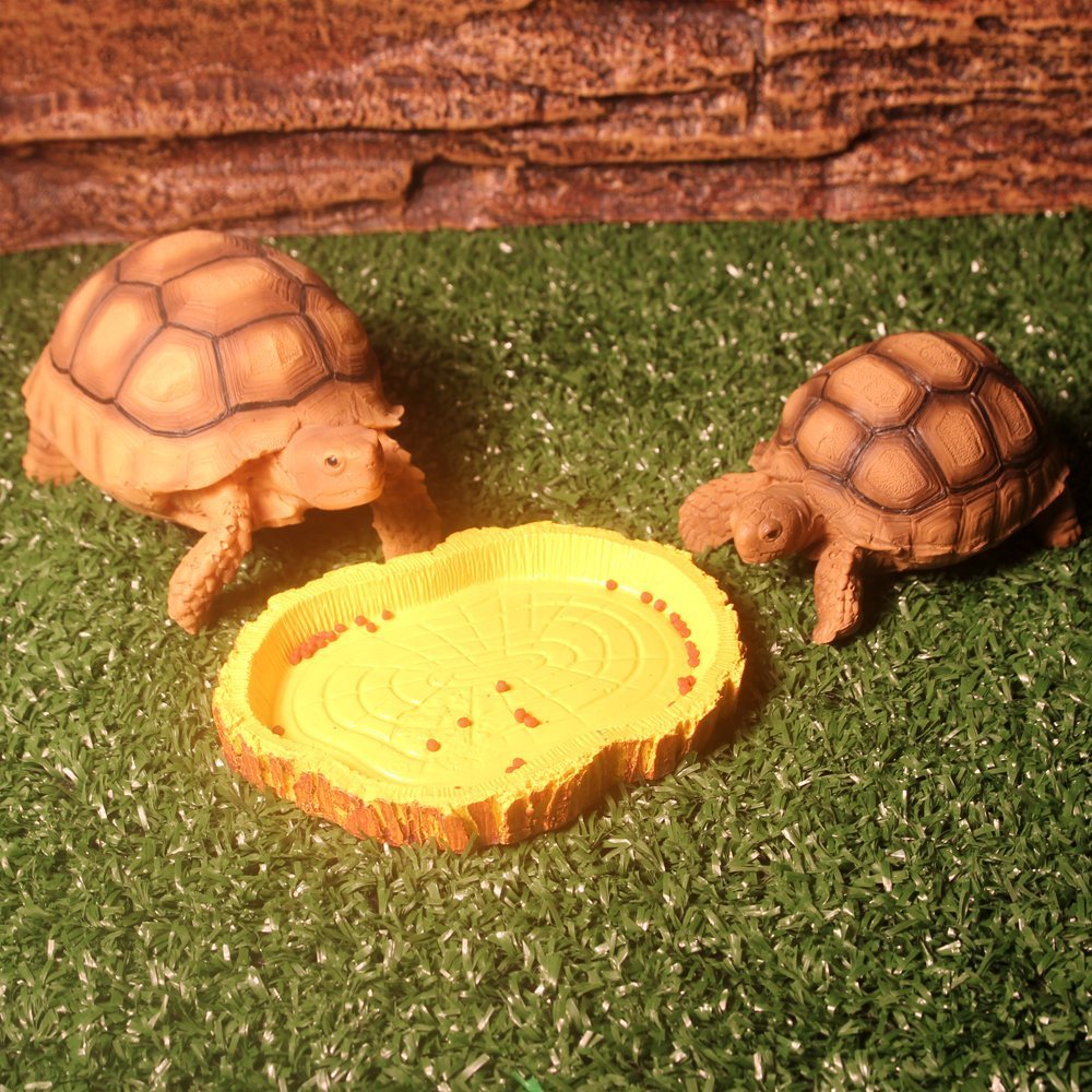 Ciotola Per Rettili Con Design Roccia - Verde O Blu, Per Tartarughe E Lucertole, Taglia S O M - Foto 8