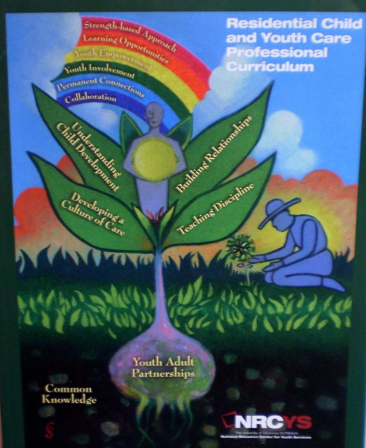 Residential Child and Youth Care Professional Curriculum NRCYS Amazon