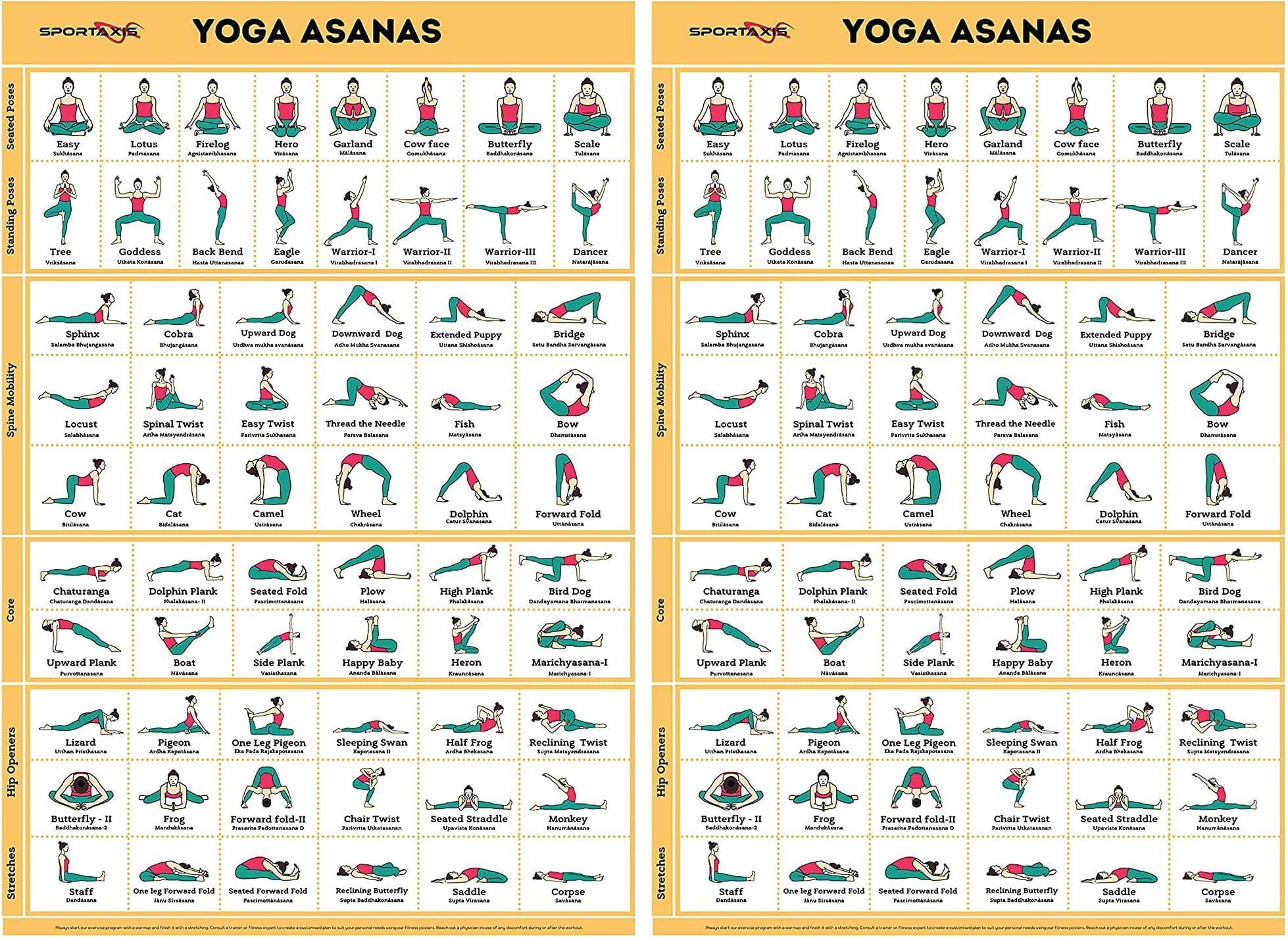SPORTAXIS Yoga Poses Poster- 64 Yoga Asanas For Full Body Workout- Laminated Home Workout Poster With Colored Illustrations - English And Sanskrit Names (Pack of 2)