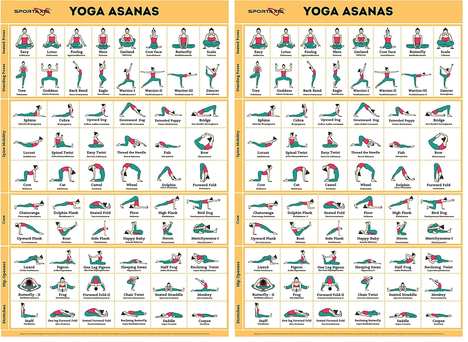 SPORTAXIS Yoga Poses Poster- 64 Yoga Asanas For Full Body Workout- Laminated Home Workout Poster With Colored Illustrations - English And Sanskrit Names (Pack of 2)
