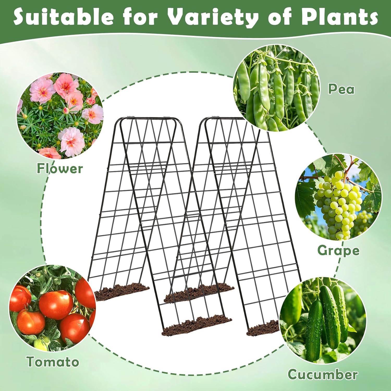 2 Pack Cucumber Trellis 43.3’’x15.7’’ with Twist Tie and Clips, A-Shaped Garden Trellis for Climbing Plants Heavy Duty Metal Plant Support for Cucumber, Grape, Tomato, Pea, Bean, Flower, Raised Bed thumbnail