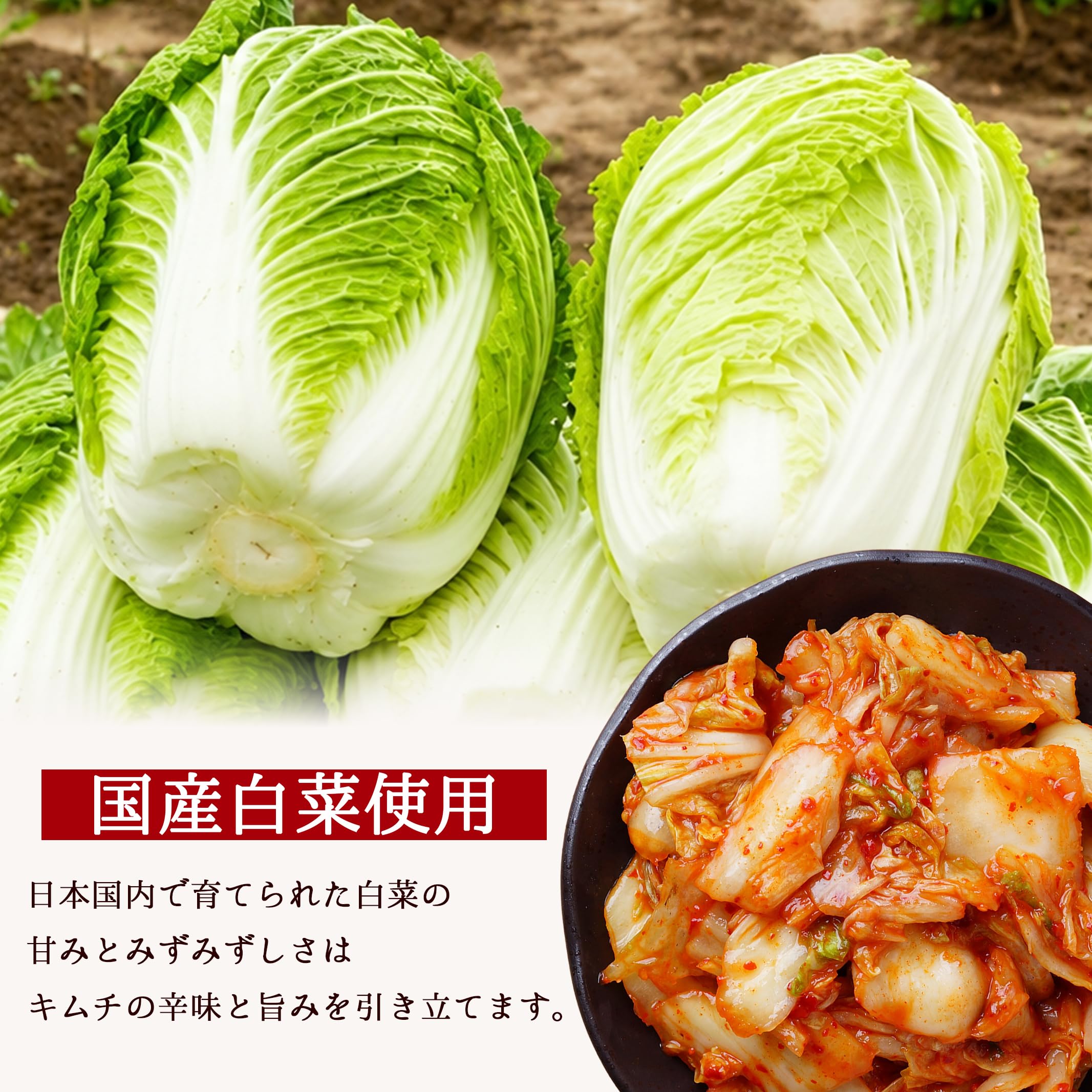Amazon.co.jp: 国産 無添加 白菜キムチ 1.5kg(500g×3) 化学調味料 保存