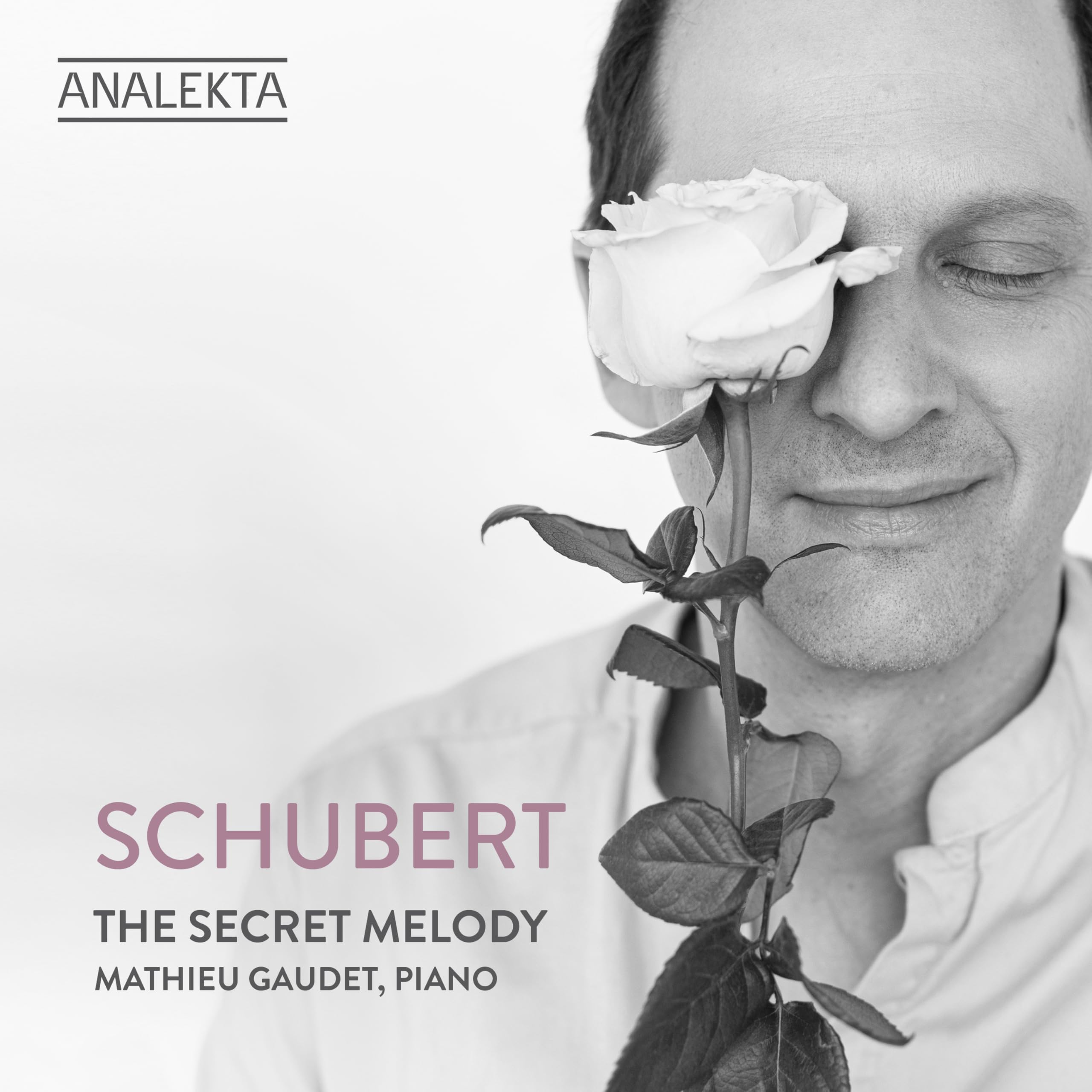 Schubert: The Secret Melody