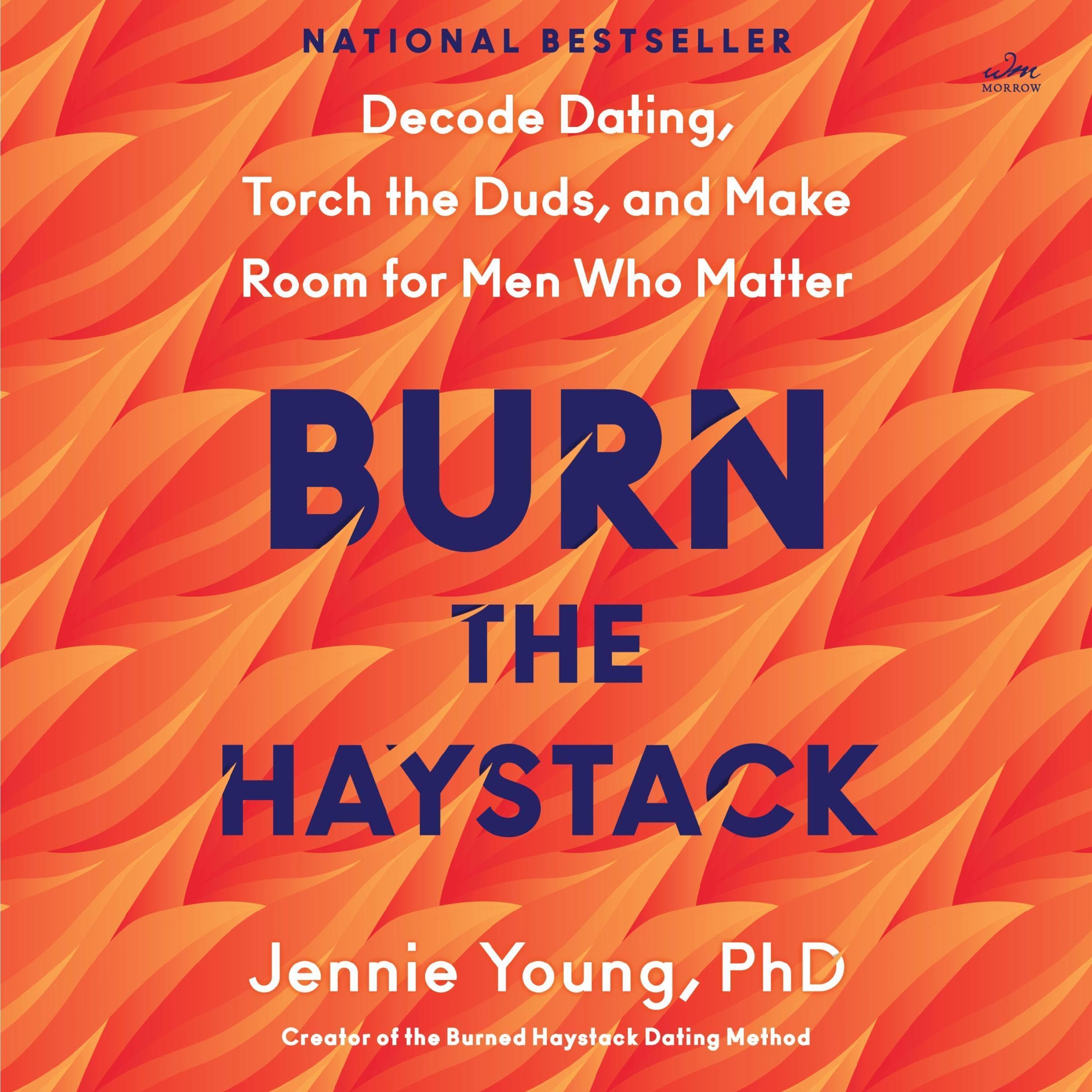 Cover art for Burn the Haystack