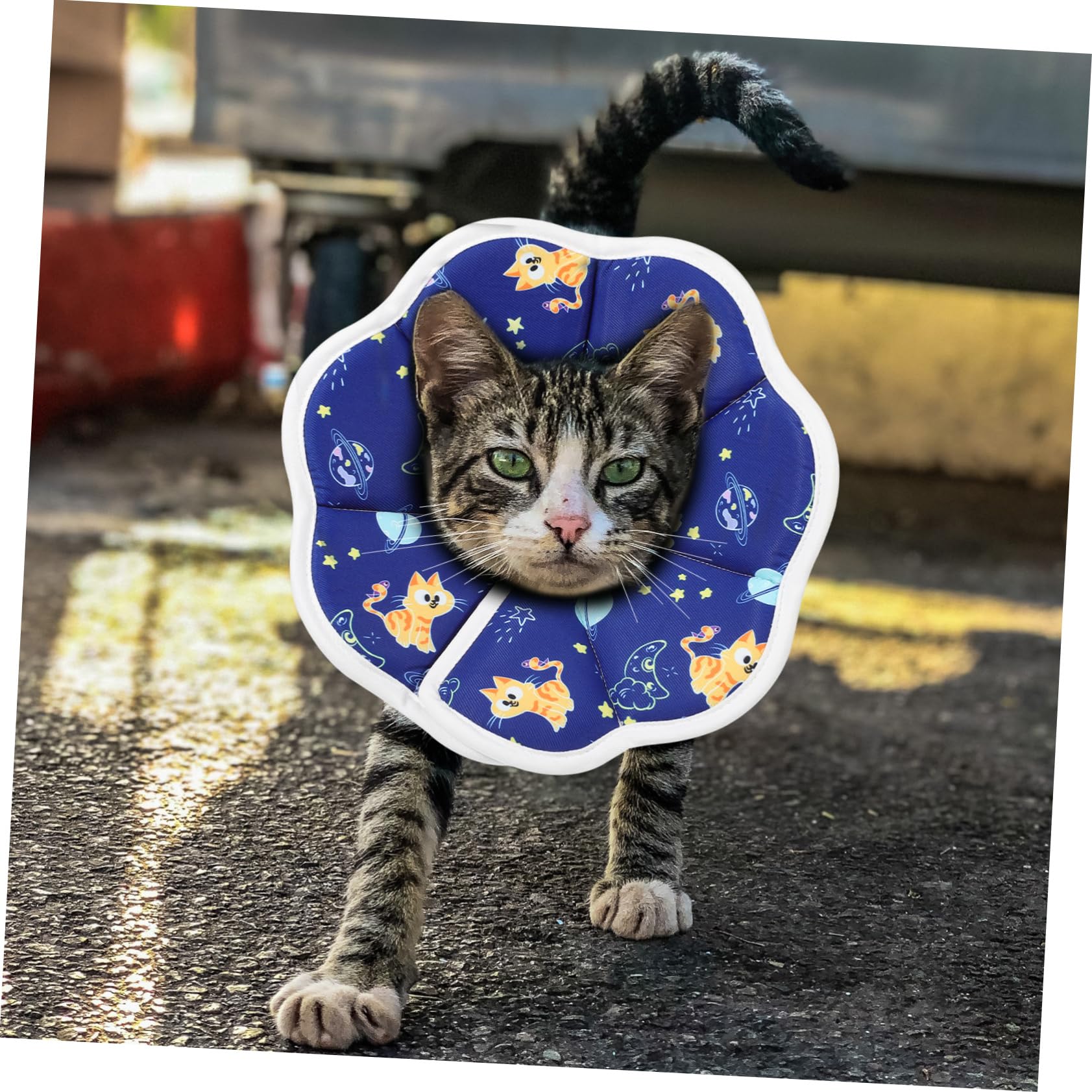 POPETPOP 5 Pz morbido per gatti coni per gatti dopo l'intervento collare elisabettiano gatto collarino cane cucciolo collarini gattini ciambella di gatto gattino spugna