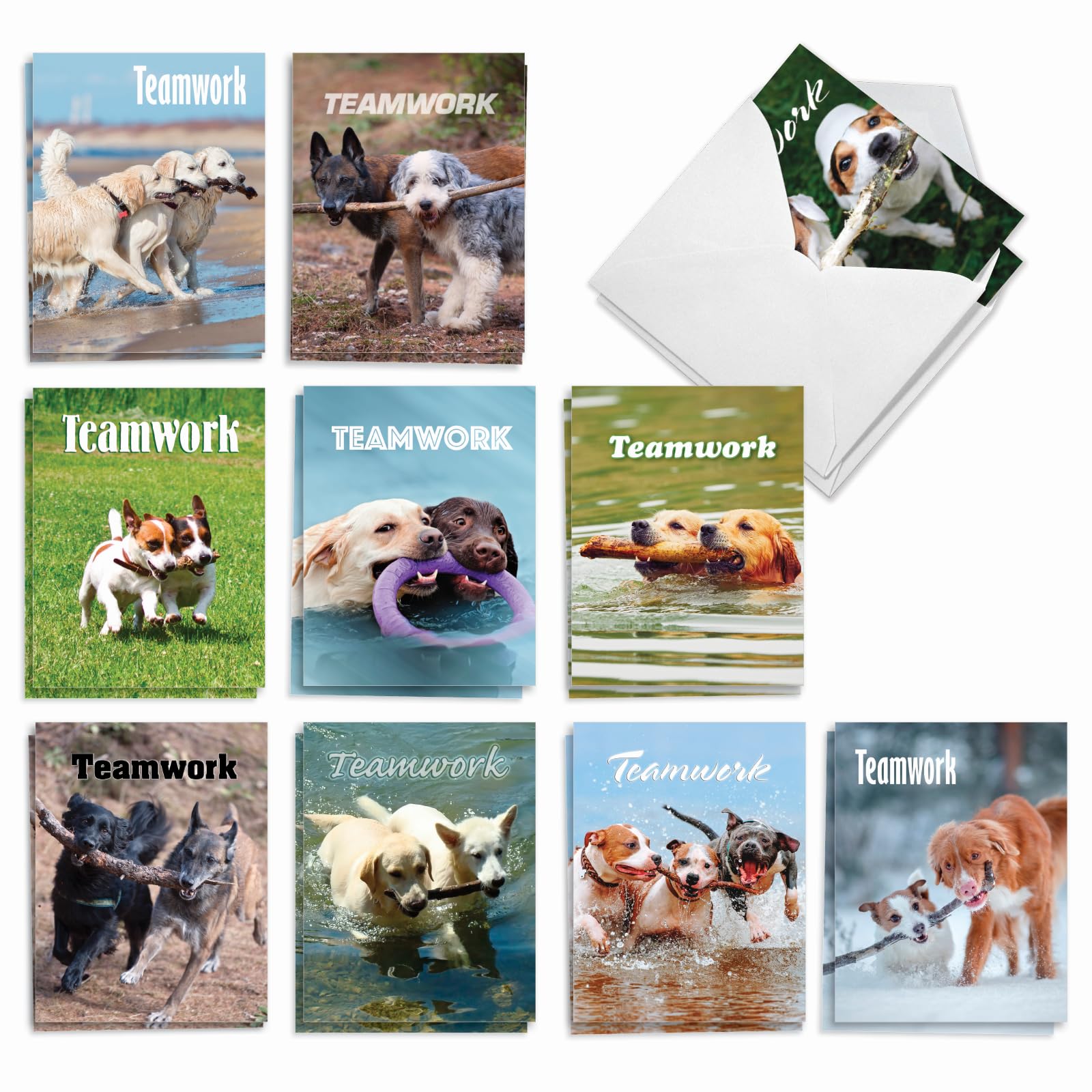 Best Card Co 20 Teamwork Bulk Notecards w/Envelopes AM3189OCB-B2x10