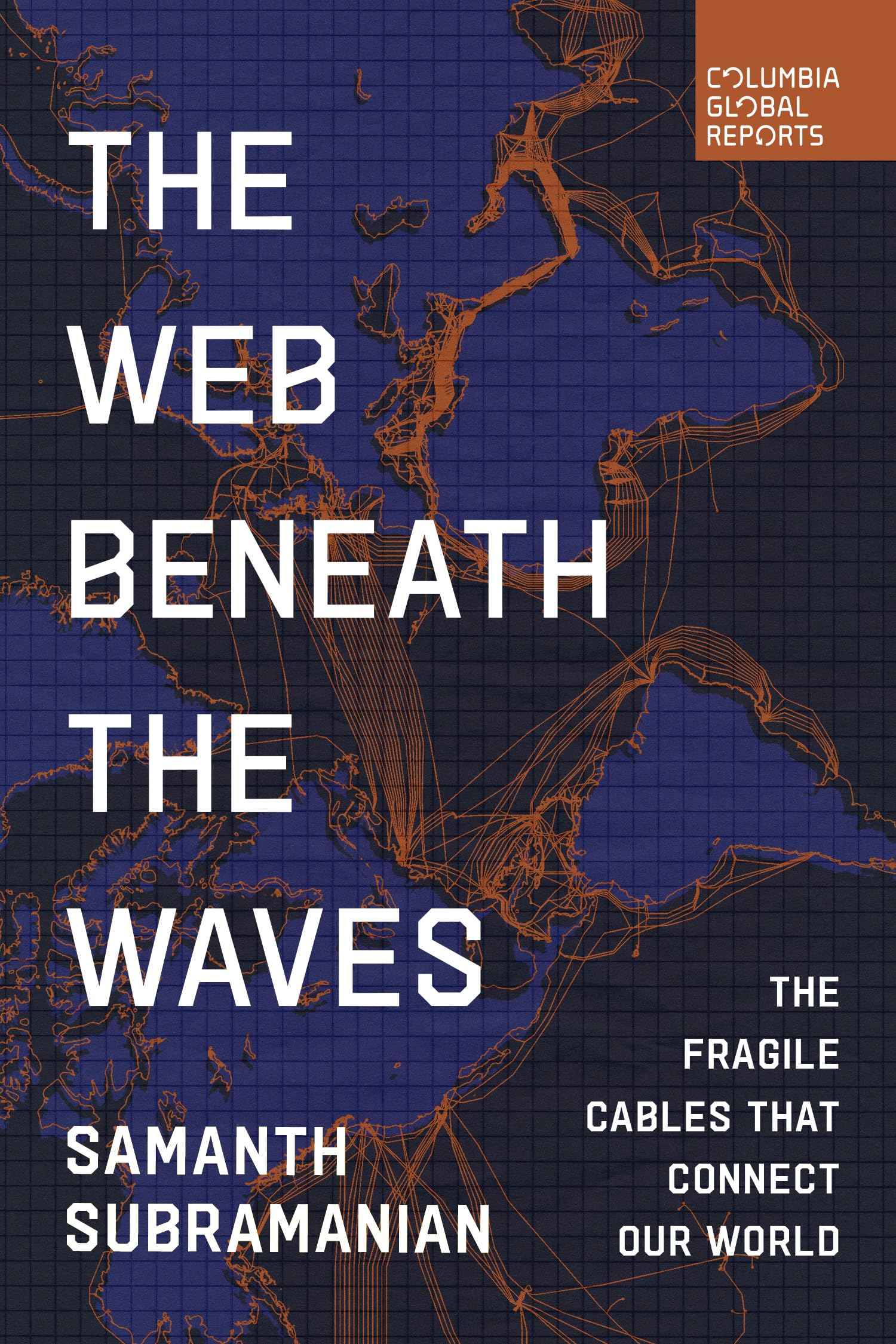 The Web Beneath the Waves: The Fragile Cables that Connect our World