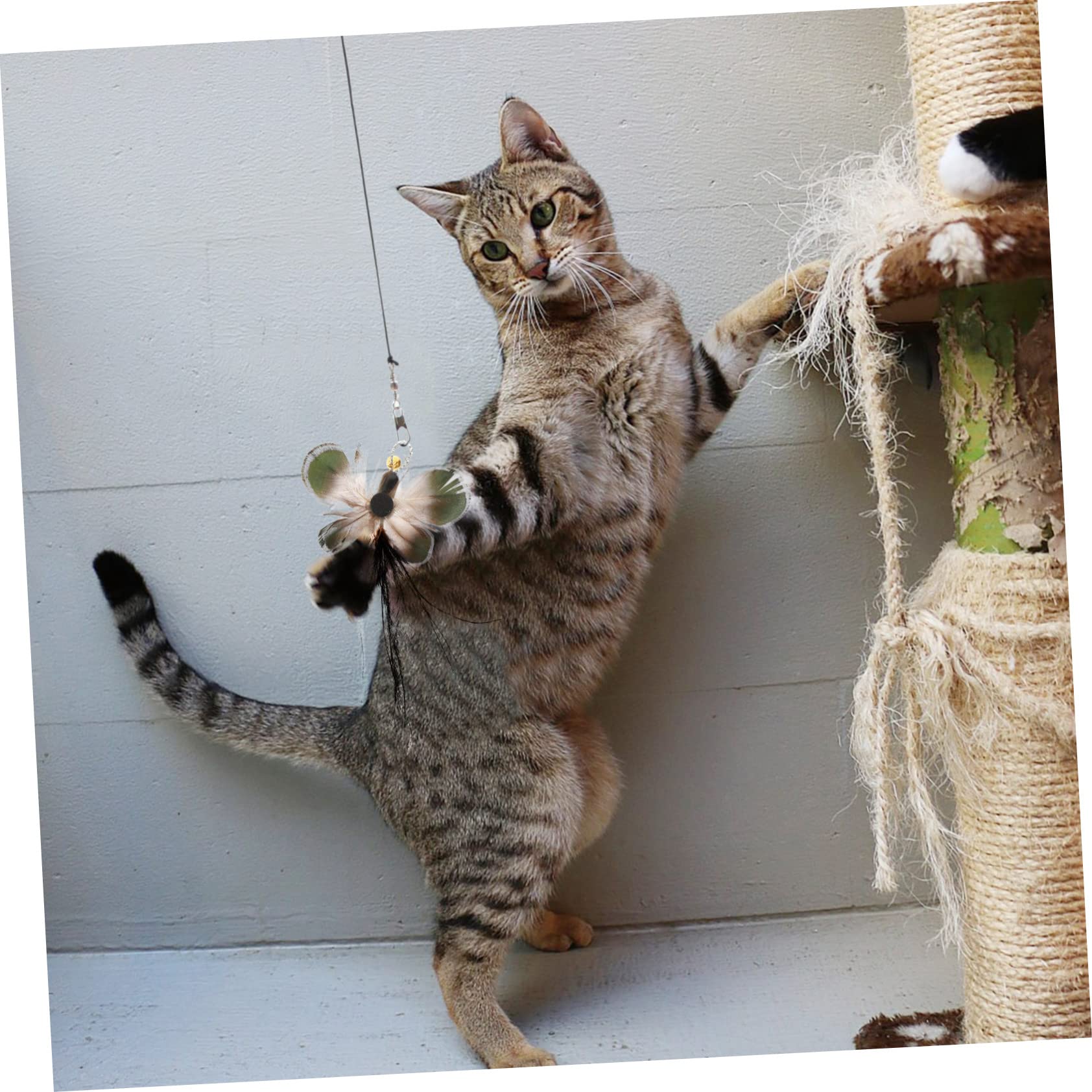 VANZACK Pièces Rechange pour Chat Teaser pour Chat pour d'intérieur de de de Remplacement remplacements de de de