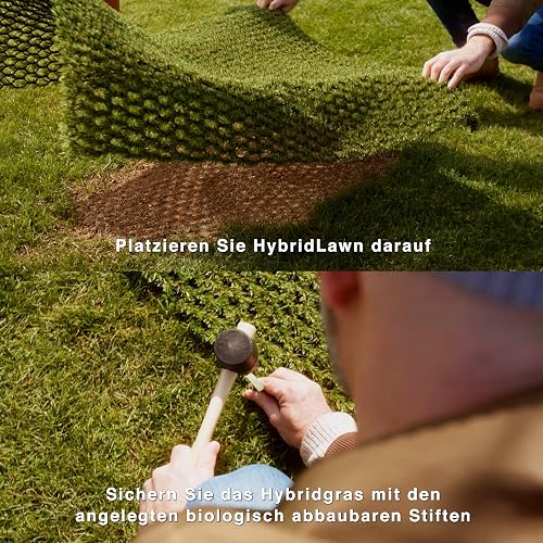 Hybrid Grass, Hybrid Grass Lawn Tiles for Outdoor Use (2 x 10 m) - Durable Grass Tiles Against Lawn Gaps - Flexible Artificial Grass for Garden - 4