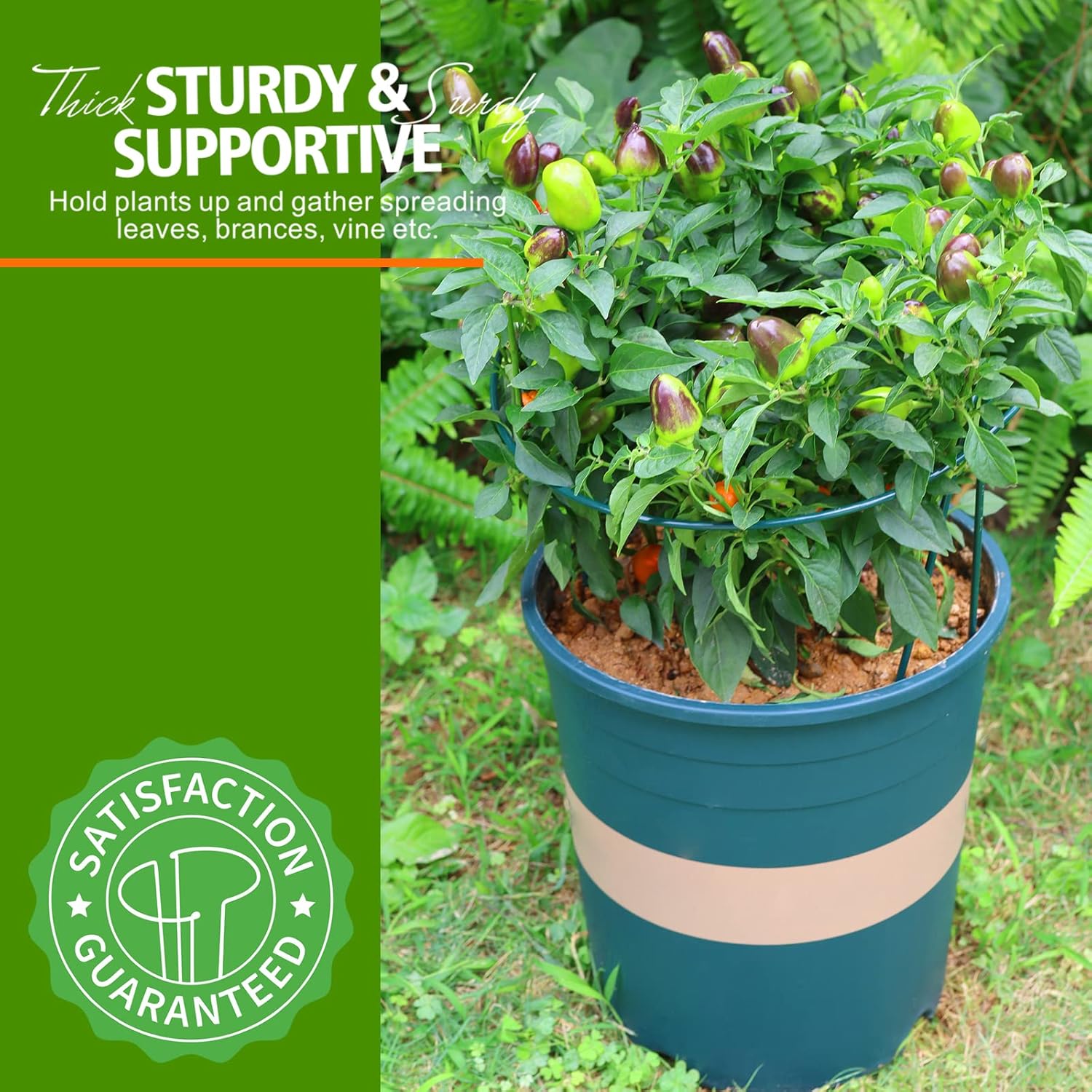 LEOBRO Plant Support, 8PCS Peony Cages and Supports, Plant Stakes for Indoor Plants, Outdoor Plants, Plant Holders, Tomato Monstera Hydrangea Support Cage, 10" W x 15.8" H - Image 8