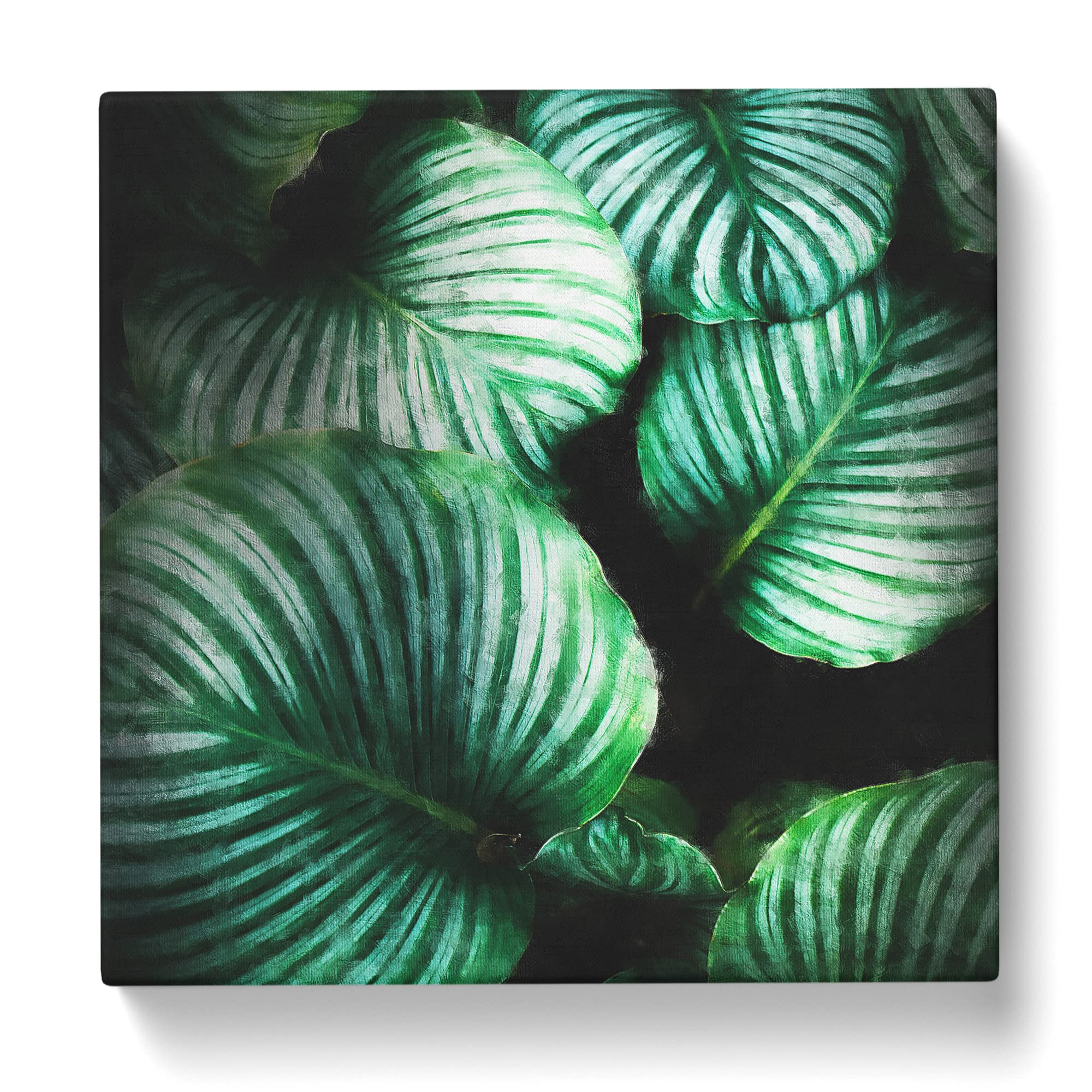 Gathered Green Plant Leaves Canvas Print, Mixed, 35L x 35W cm - Image 3
