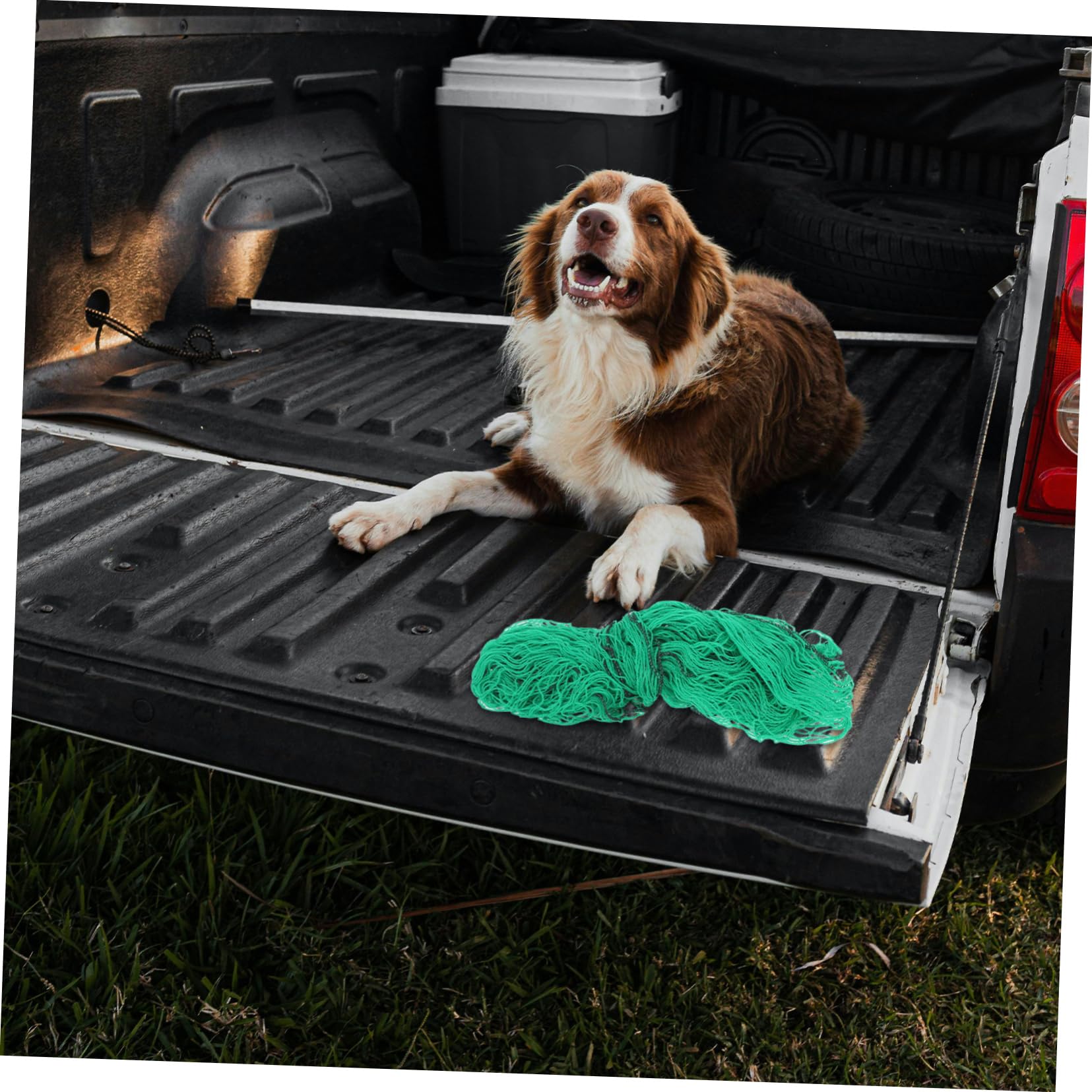 Filet de Chargement pour Benne de Pick-up en Pvc, Maille Élastique