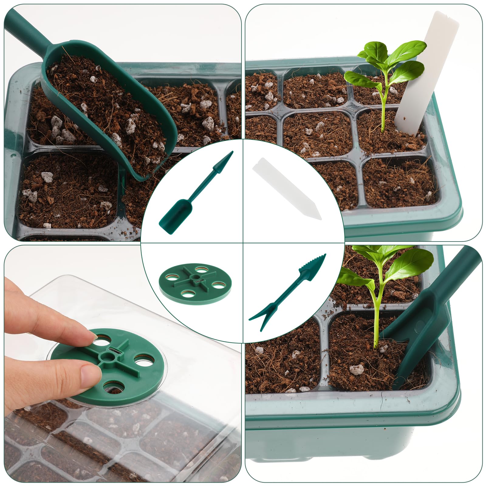 Zimmergewächshaus Anzuchtkasten Set: 5 Stück Mini Gewächshaus mit erhöhten Deckel, Setzling Starter mit Pflanzenlichter, Gewächshaus Klein Grow Zubehör, Tabletts Treibhaus Anzuchtschale