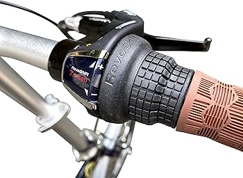 Amazon | EIZER(アイゼル) 【折りたたみ自転車】20インチ ドルフィン ...
