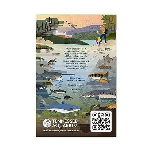 Vista 132 de Sunbelt Bakery Barras de granola masticables con chispas de chocolate, 50 barras de 1.0 onzas (5 cajas)