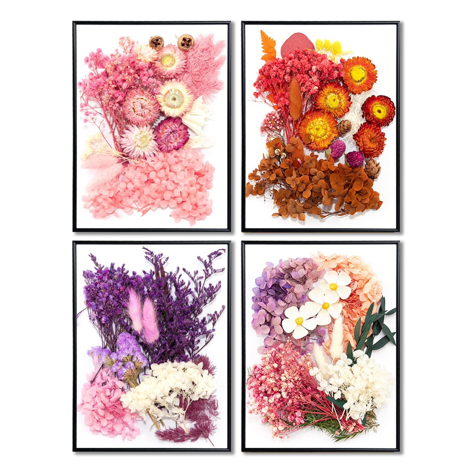 iDattel Naturalne suszone kwiaty, naturalne mieszane, naturalne suszone kwiaty, zestaw do sztuki, majsterkowania, scrapbookingu, rzemiosła, tworzenia kartek (różowo-białe)