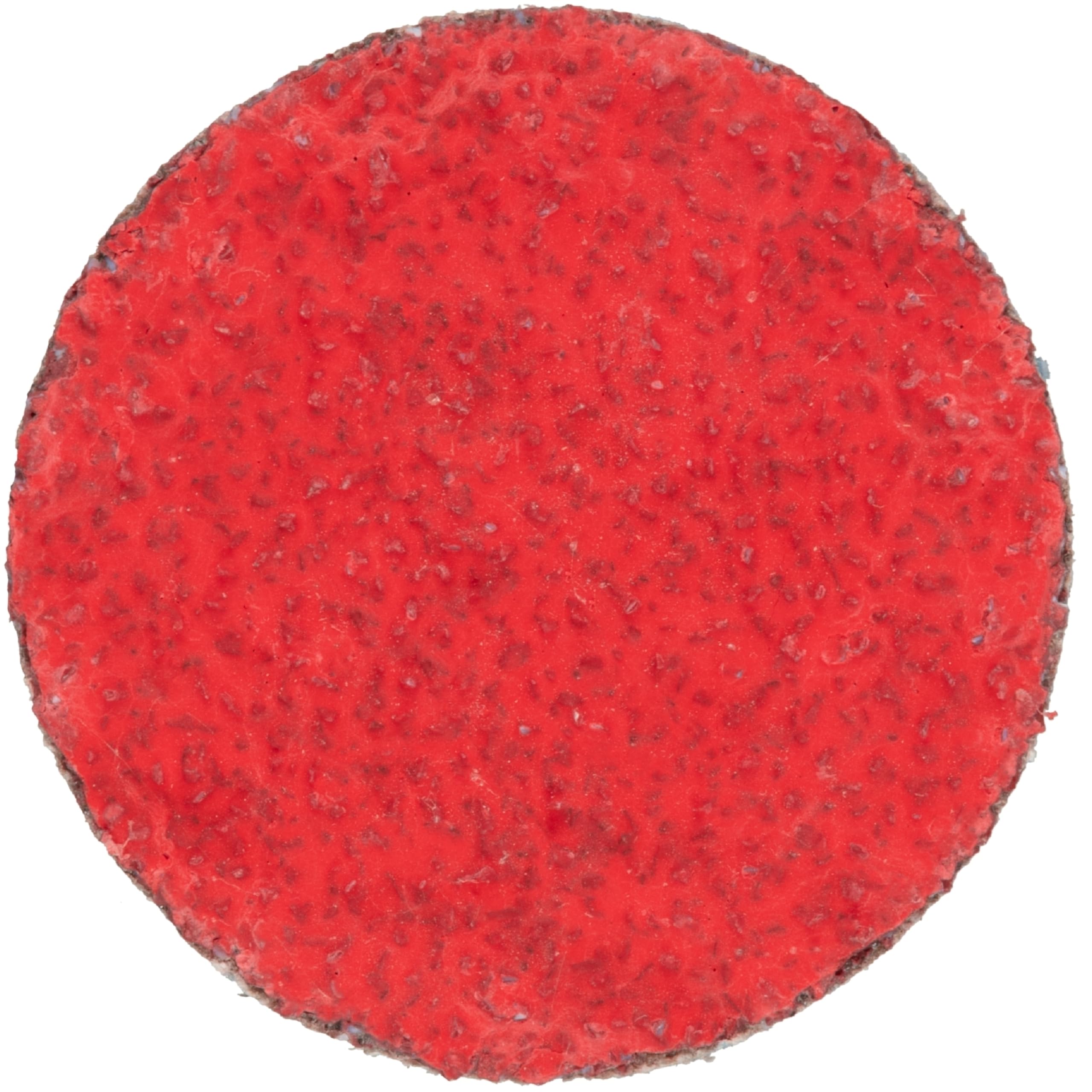 50x Dischi abrasivi universali Ø 50 mm | Ceramica grana 120 fine | Fogli di levigatura per legno metallo plastica e superfici verniciate