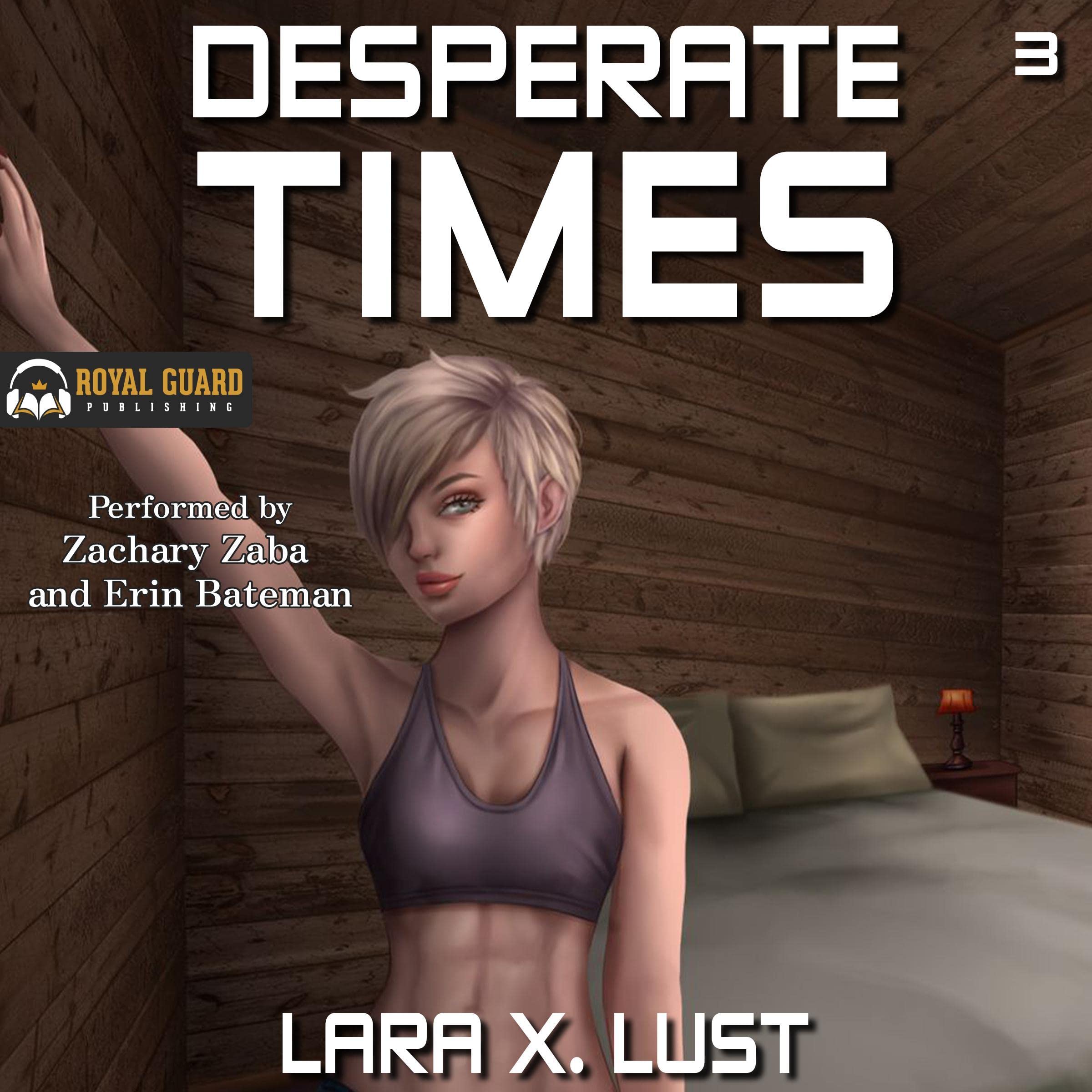 Cover art for Desperate Times 3