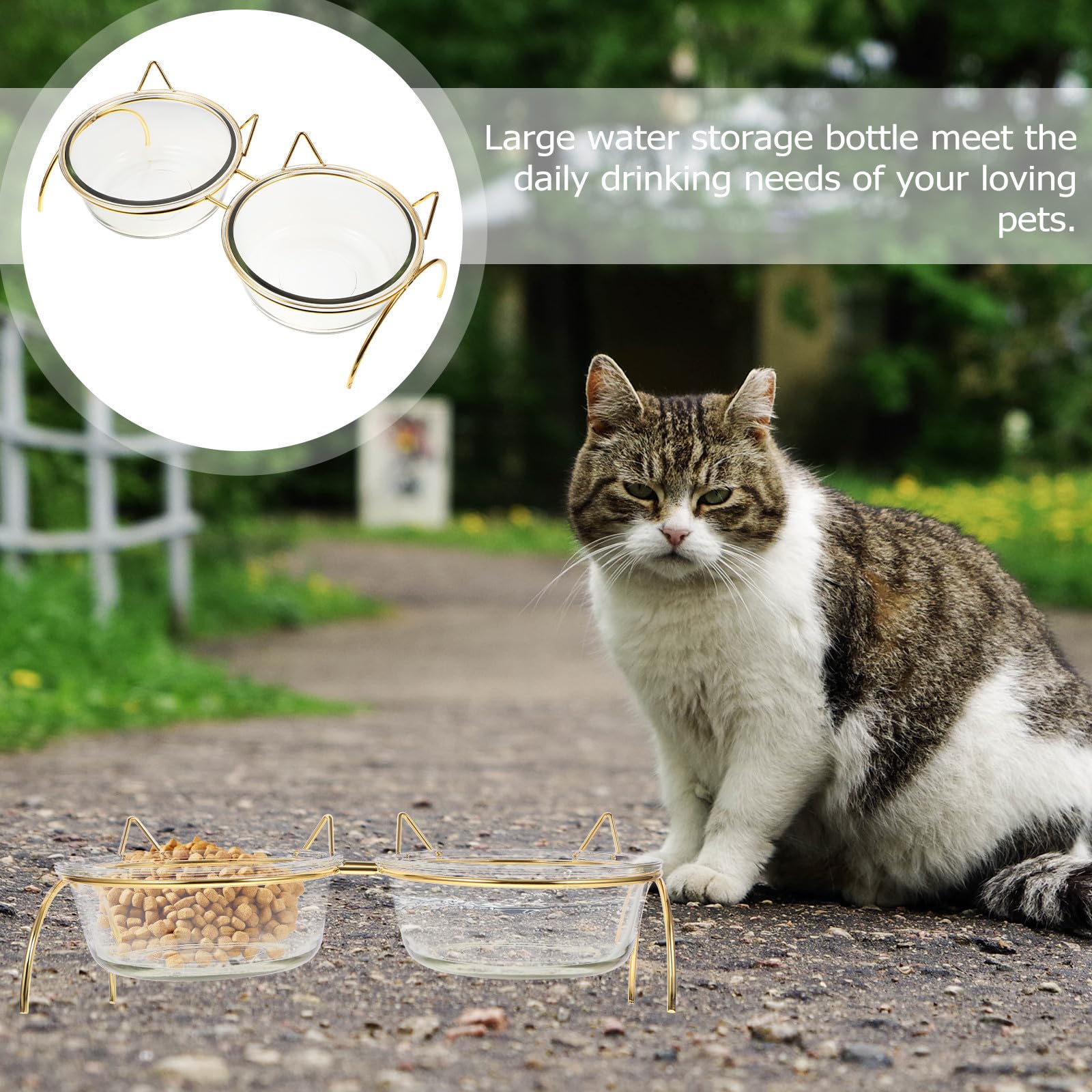 Erhöhter Katzennapf aus Glas mit Schräger Öffnung und Nackenschutz