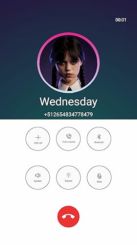 Wednesday Fake Call Video Call