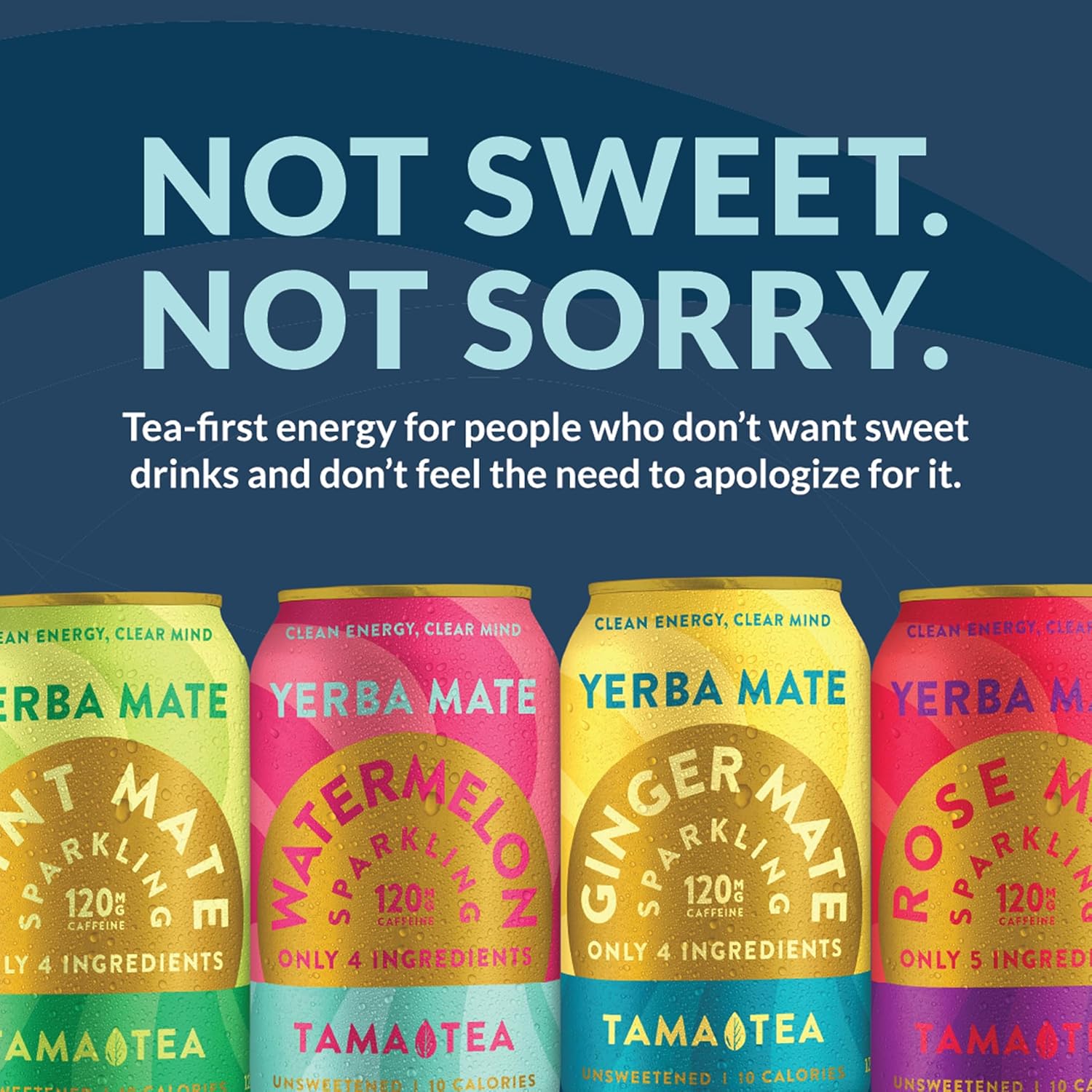 Organic Sparkling Ginger Yerba Mate Tea, Unsweetened by Tama Tea - Sugar Free Energy Drink Alternative, 120mg Natural Caffeine, 12 oz (12-Pack)