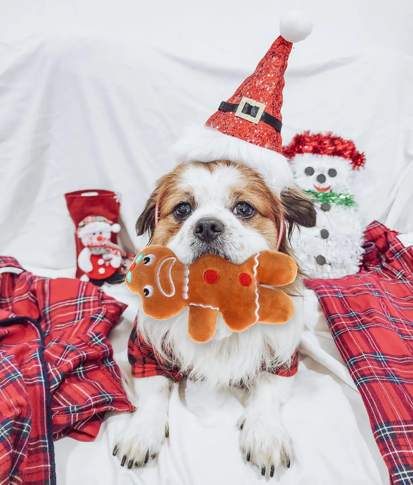 Kleines Hundespielzeug, Weihnachten, Plüsch, quietschendes Welpenspielzeug, Urlaubs-Hundespielzeug, Geschenk-Set
