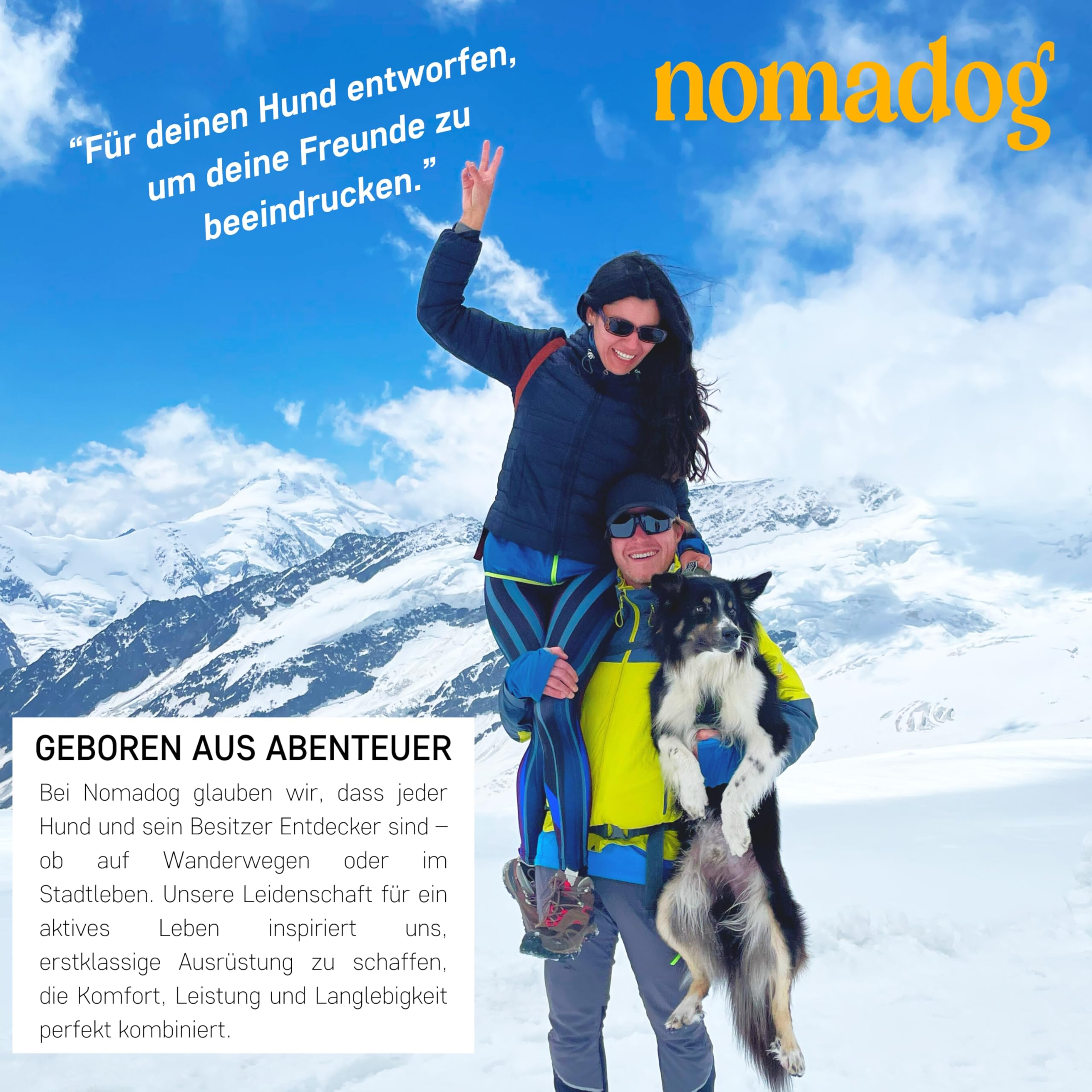 Nomadog Trailblazer Hundehalsband mit Griff für Große Hunde - Premium Aluminium Schnalle, Strapazierfähiges taktisches Halsband, Verstellbar, Gepolstert, Reflektierend (XL)