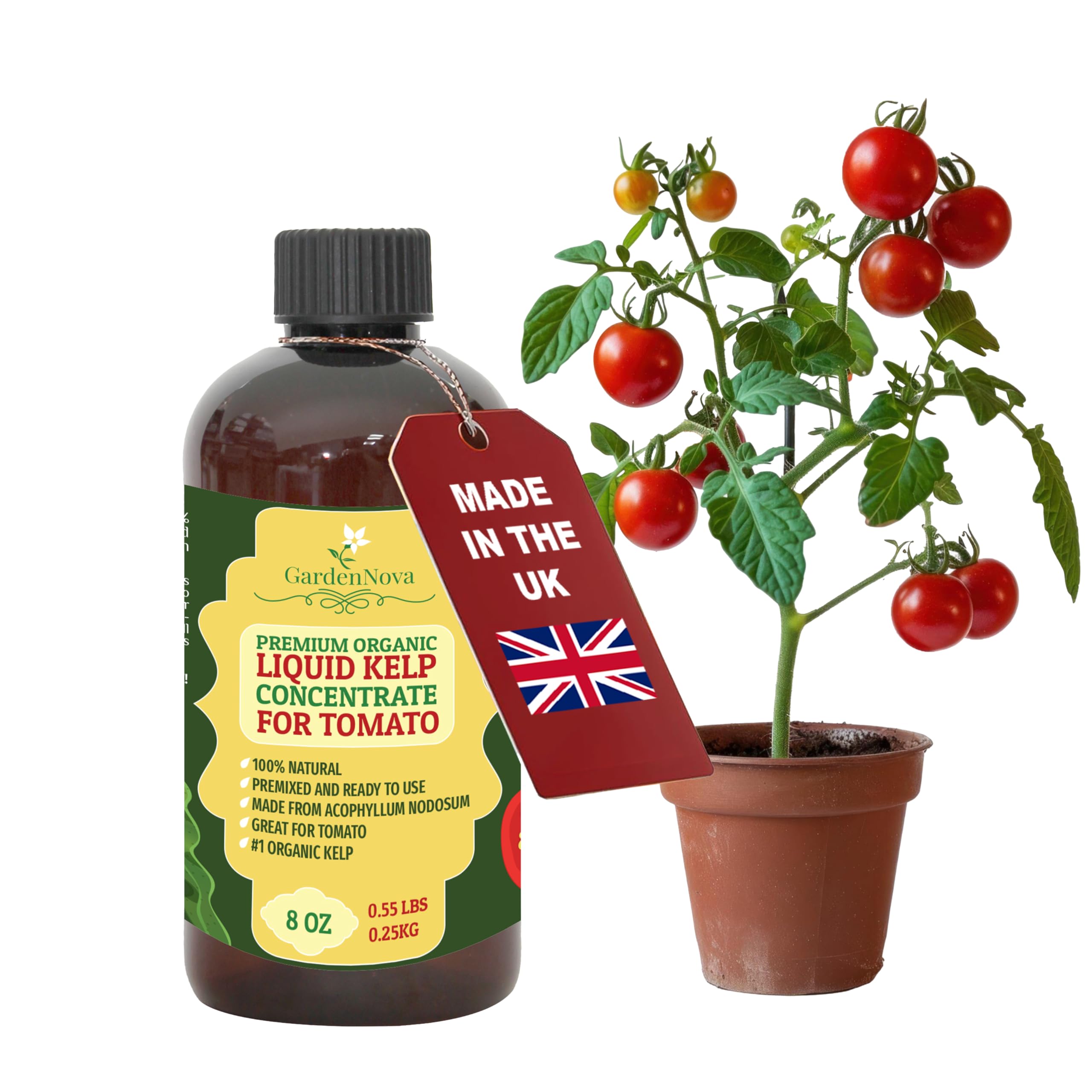 GARDENNOVA Premium Organic Seaweed & Kelp Superfood for Tomato Plants - 8 oz - Liquid Kelp Fertilizer Concentrate (Makes 25 Litres)