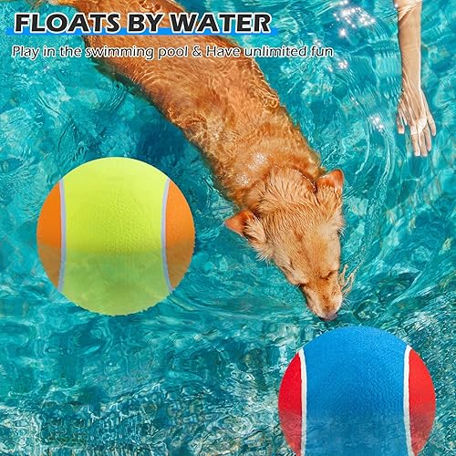 Miniatura 7 de EXPAWLORER Pelotas de tenis gigantes para perros, 2 pelotas de juguete para perros grandes de 9.5 pulgadas, cumpleaños de perro, pelota de tenis
