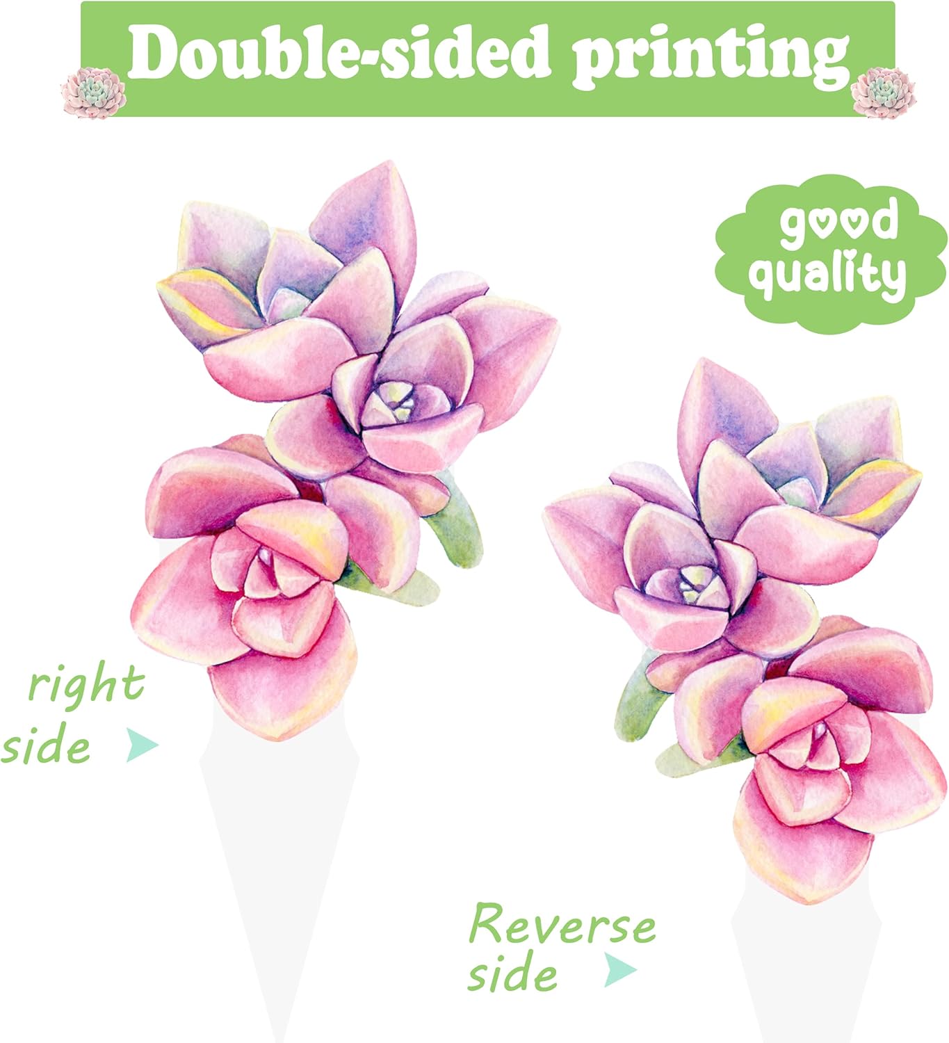 48Pcs Succulent Cactus Cupcake Toppers Succulent Plants Birthday Party Decorations Cactus Cupcake Picks Decorations for Summer Hawaiian Theme Party Birdal Shower Supplies