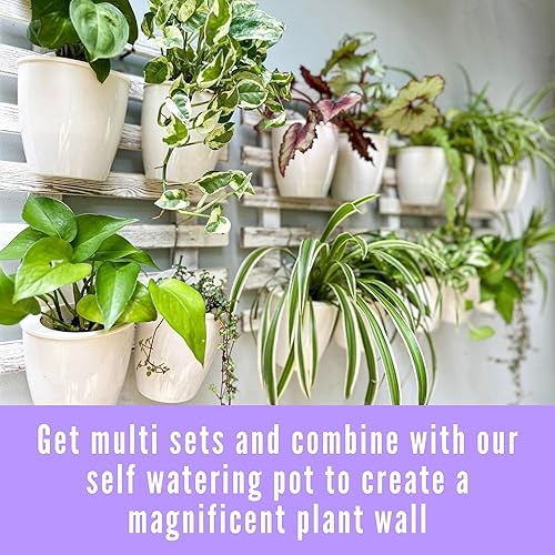 Miniatura 6 de ShopLaLa Macetero de pared de madera, paquete de 2 macetas colgantes de pared para plantas al aire libre, escalera de madera rústica blanca montada