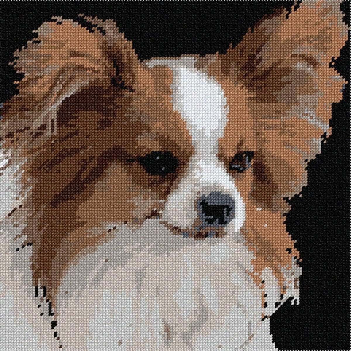 Pepita Needlepoint kit: Papillon Dog, 10" x 10"