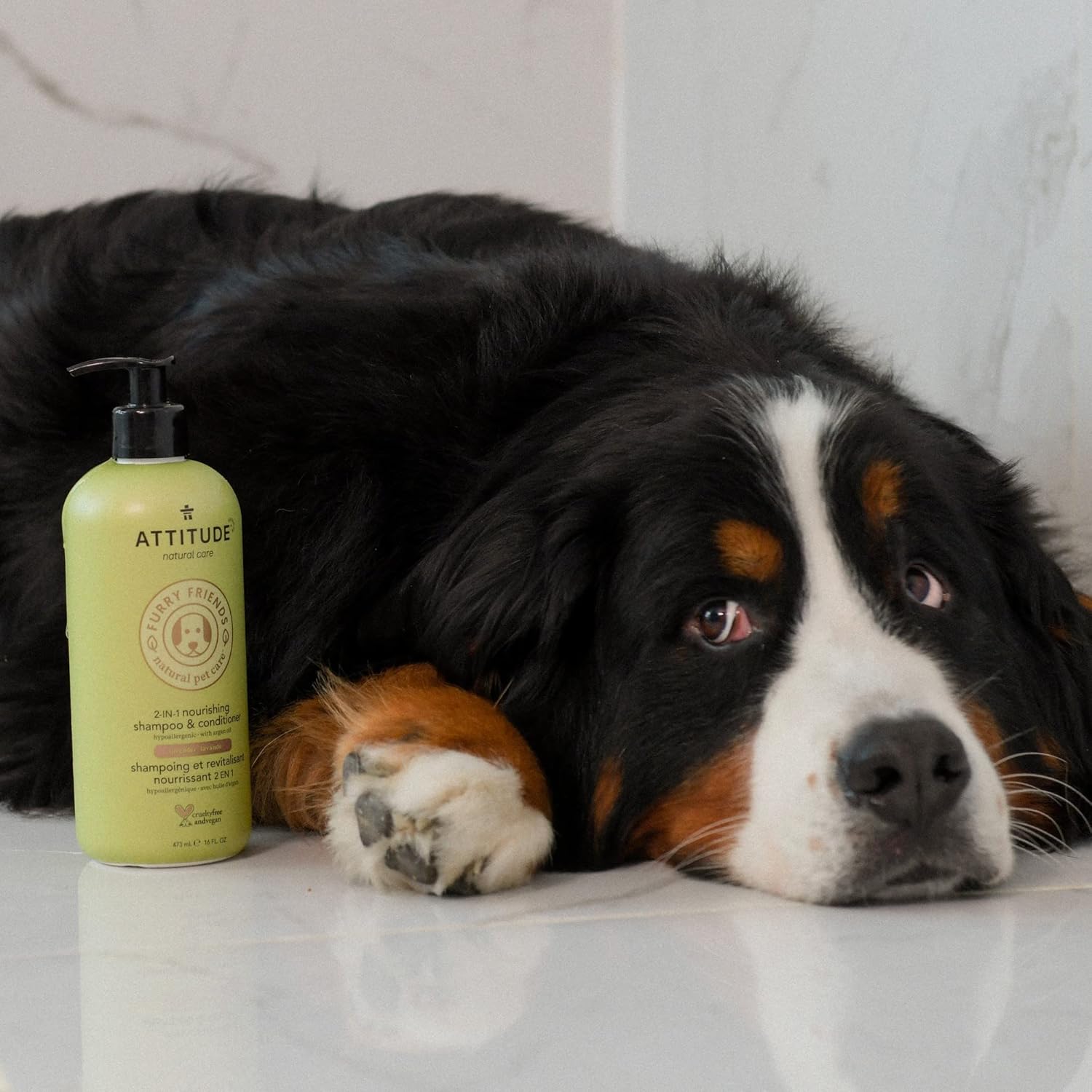 ATTITUDE Natural 2 in 1 Nourishing Shampoo & Conditioner for Cat & Dog, Hypoallergenic, Vegan and Cruelty-Free, Lavender & Argan Oil, 16 Fl Oz