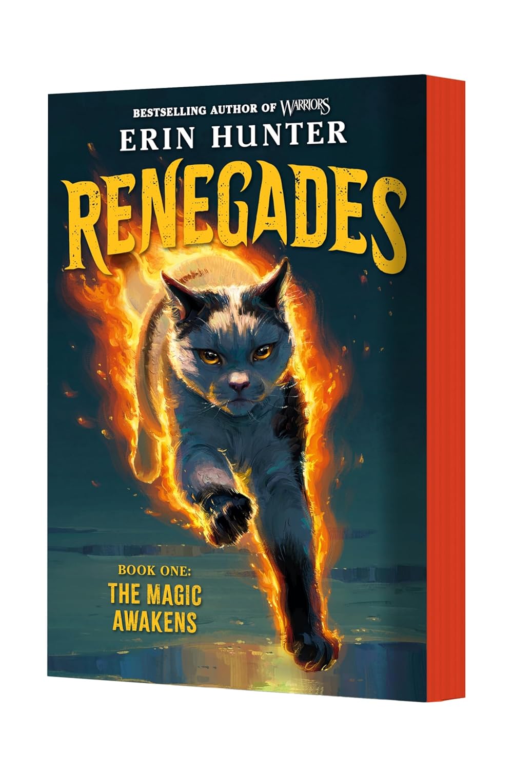 Renegades #1: The Magic Awakens: A New Magical Cat Adventure Series from the Author of Warriors      Paperback – May 19, 2026