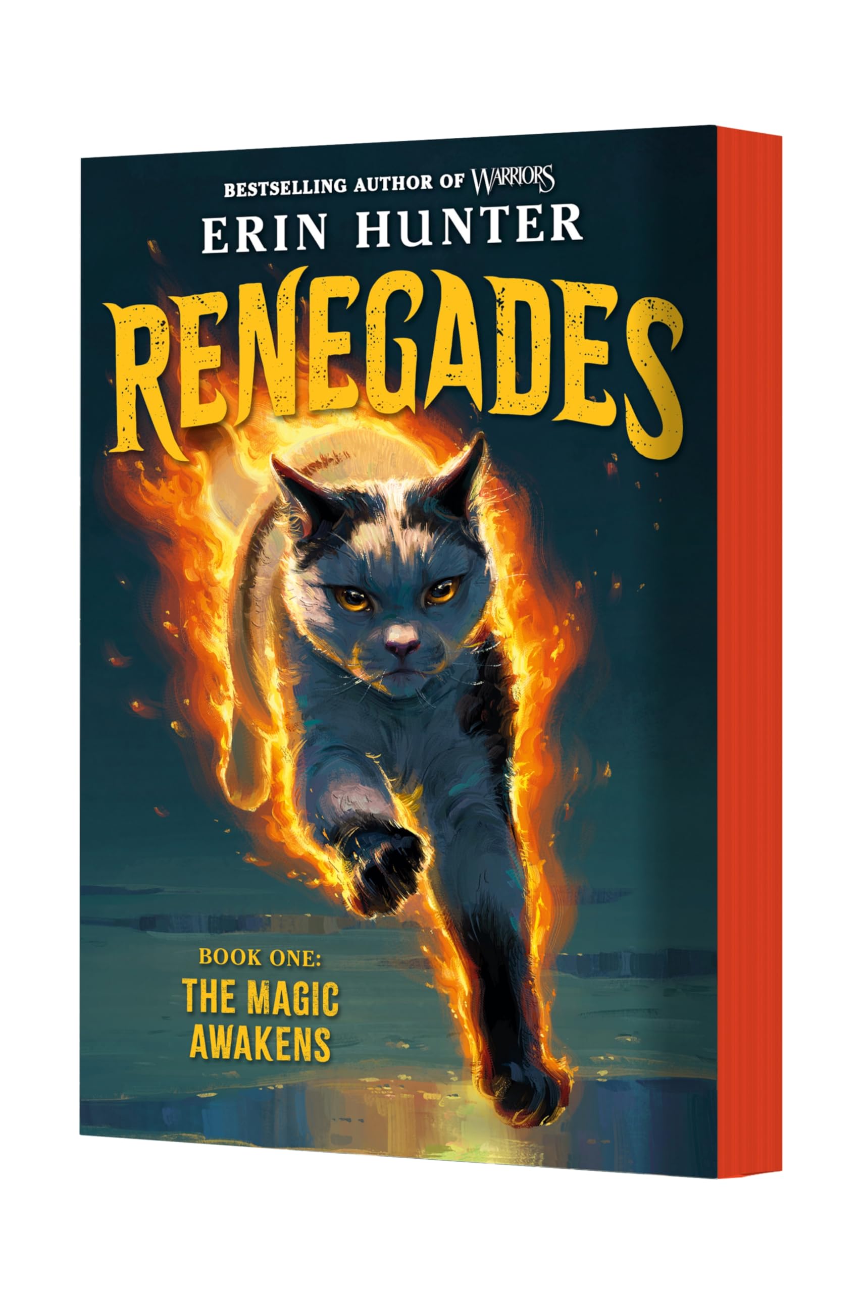 Renegades #1: The Magic Awakens