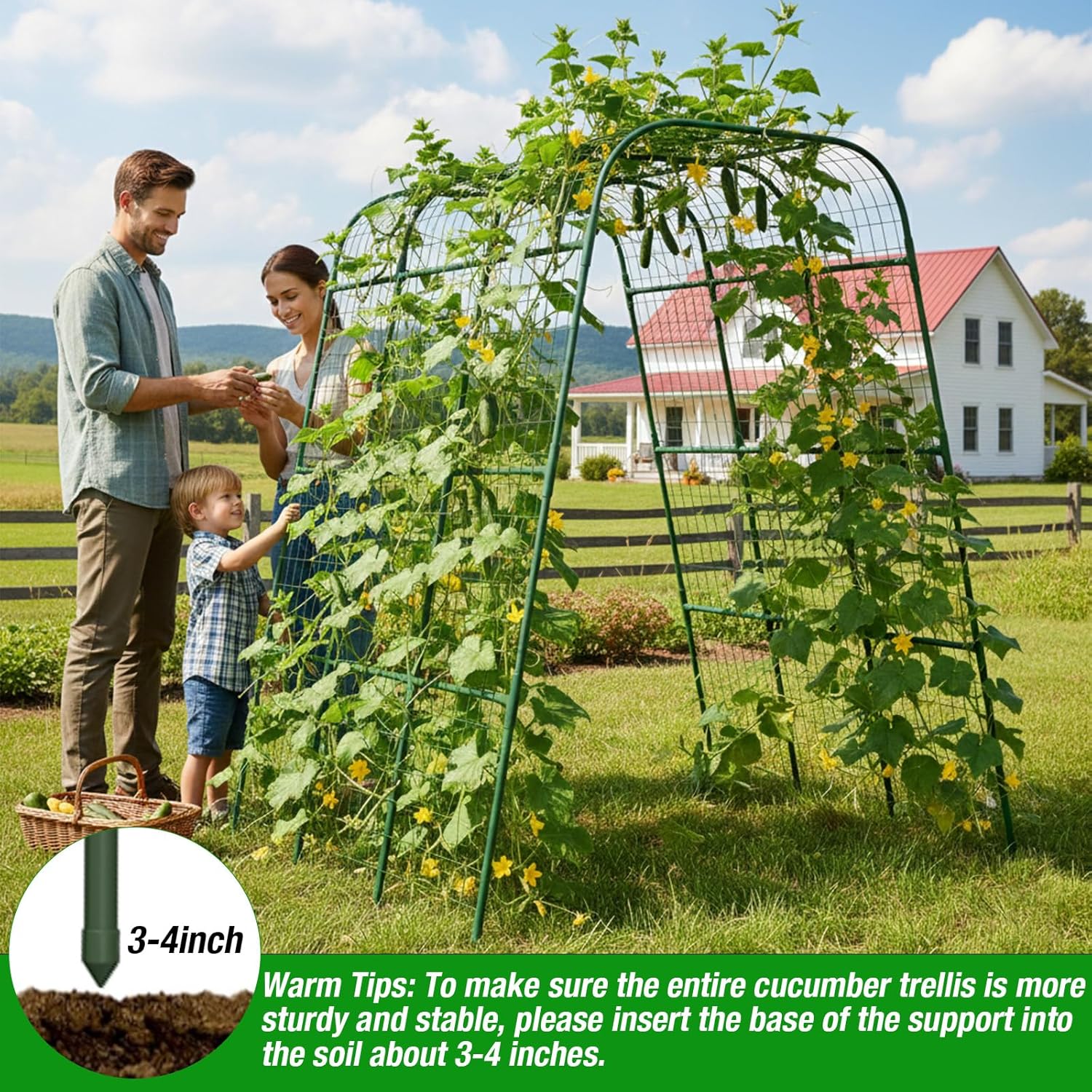 Cucumber Trellis 16mm for Raised Bed 48" L x 64" H, U-Shape Heavy-Duty Metal Garden Trellis for Climbing Plants Outdoor, Vegetable Arch Support Frame for Tomato Pea Zucchini Grape Flowers Vines